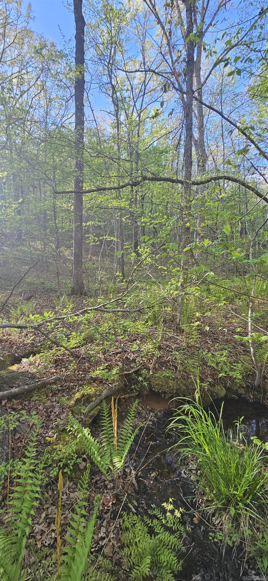 645 Chimney Rock road  Shirley, AR