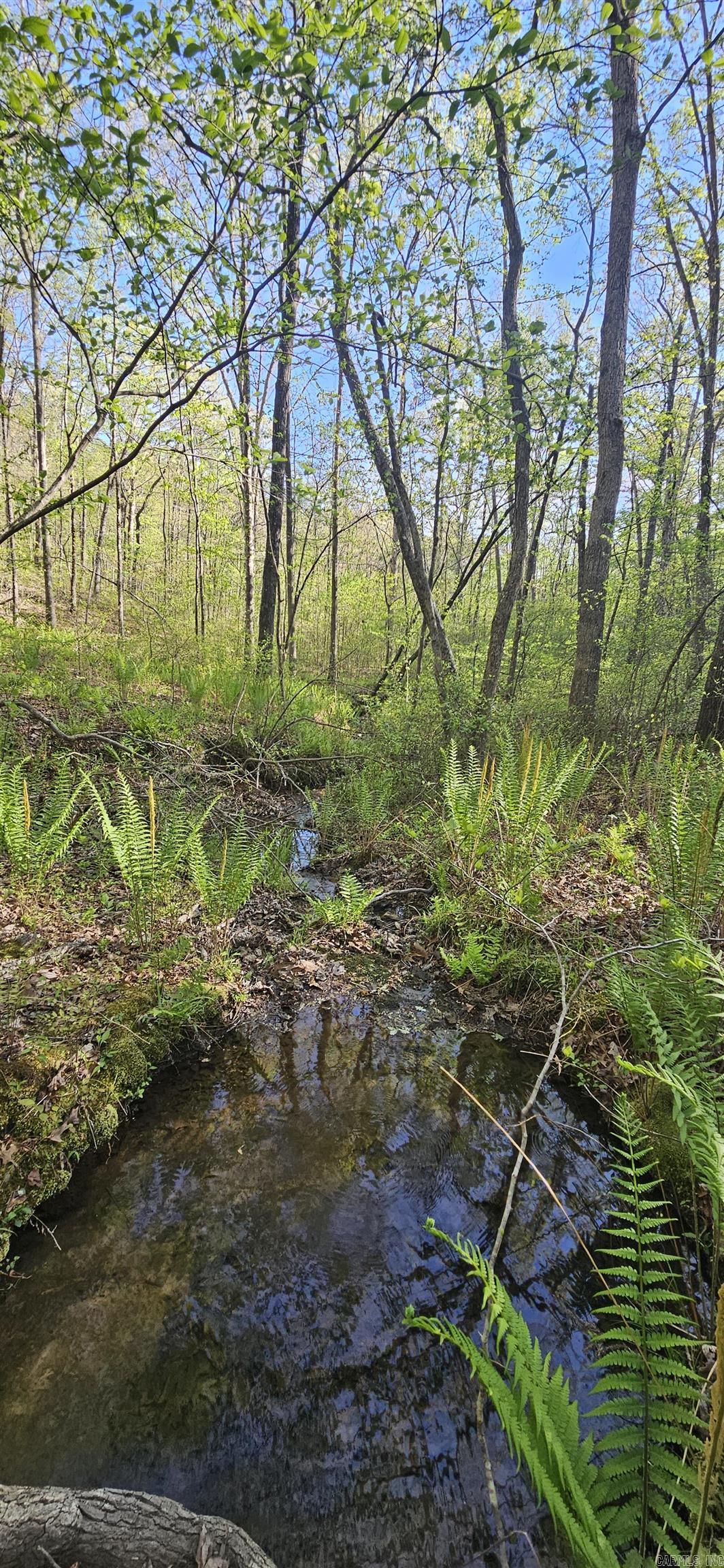 645 Chimney Rock road  Shirley, AR