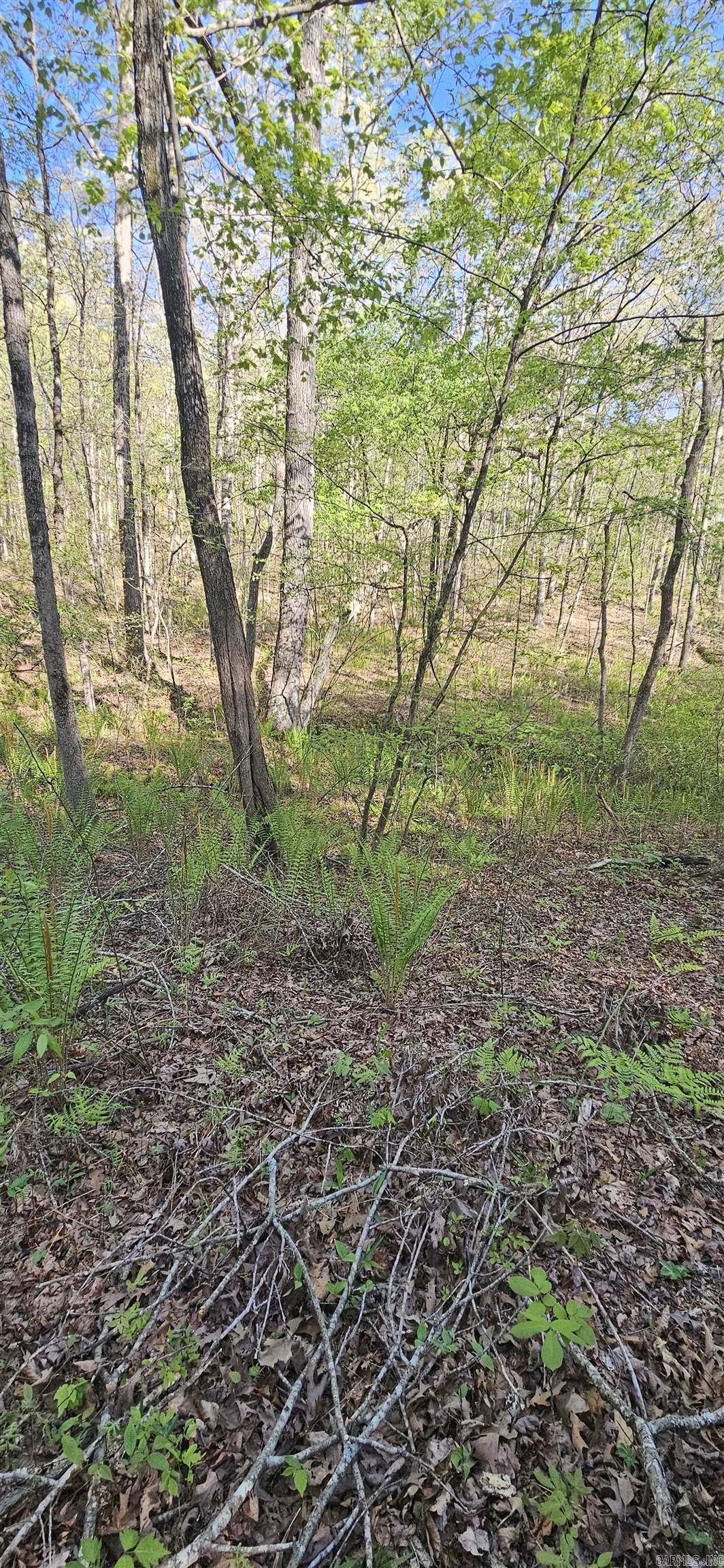 645 Chimney Rock road  Shirley, AR