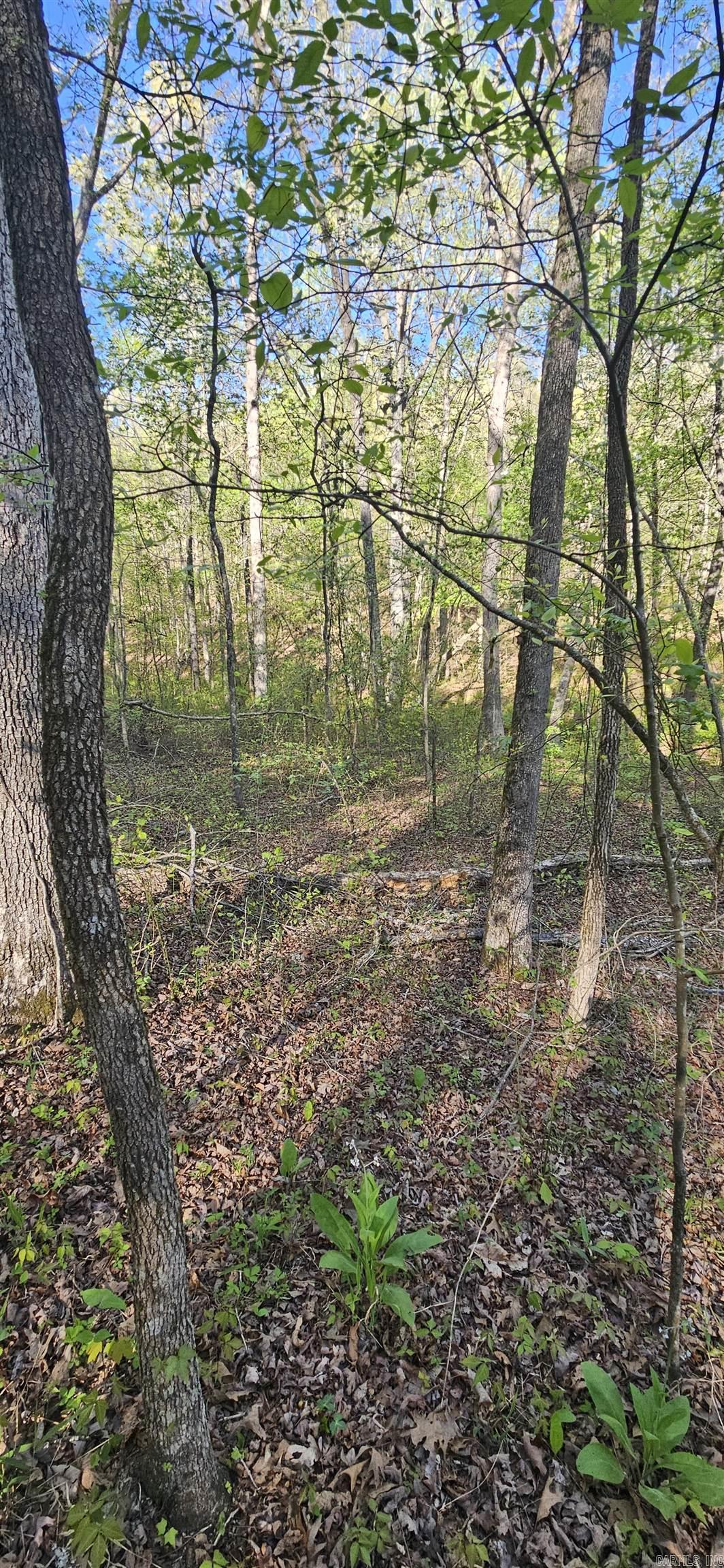 645 Chimney Rock road  Shirley, AR