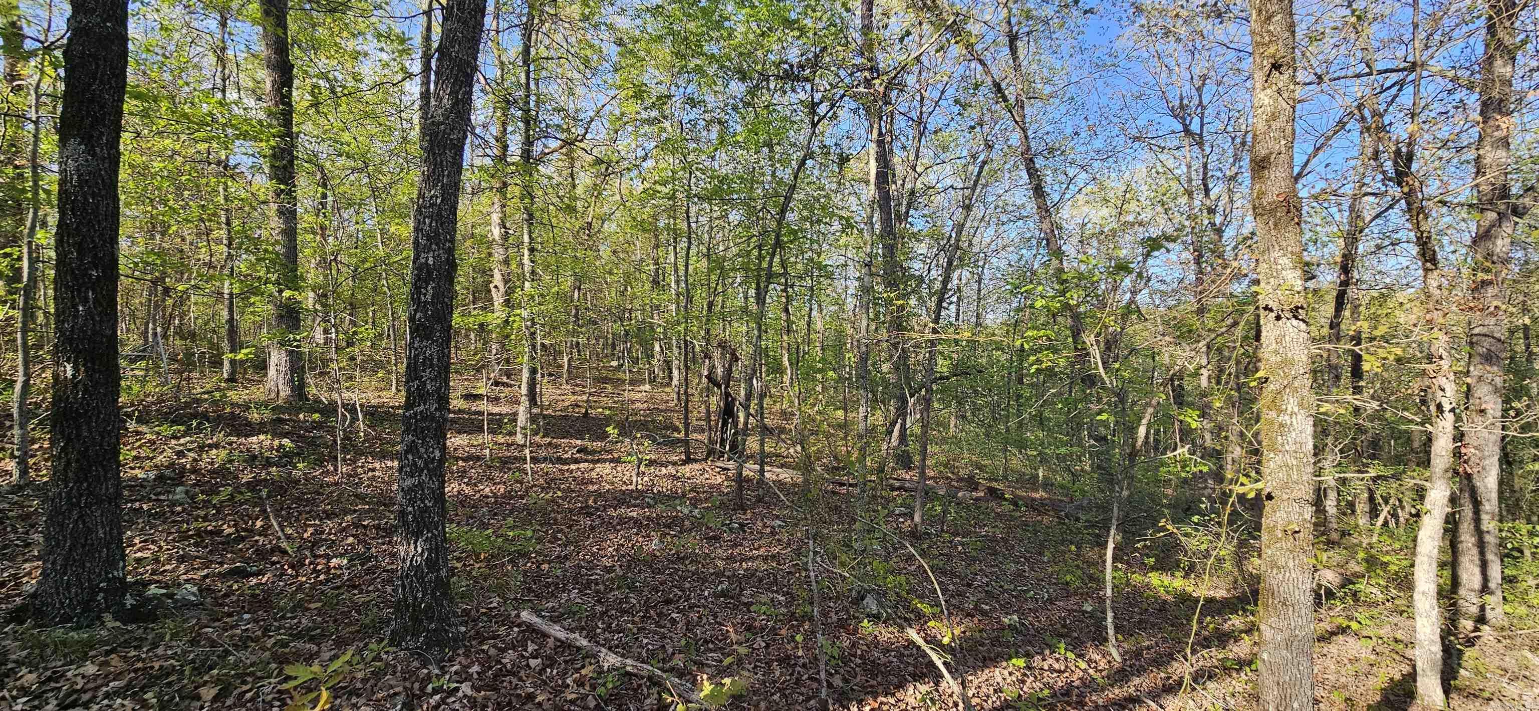 645 Chimney Rock road  Shirley, AR