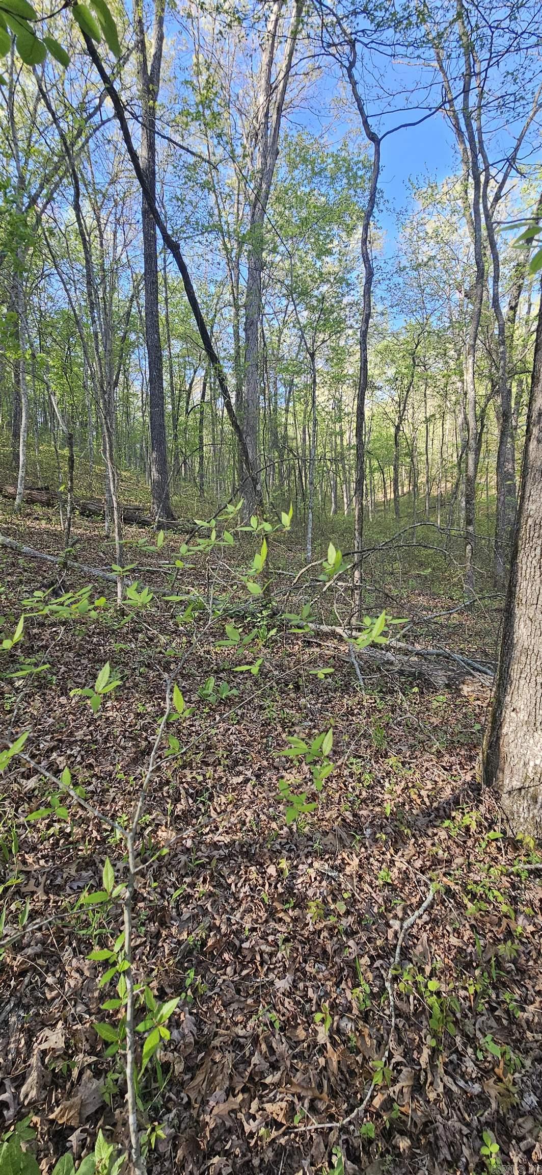 645 Chimney Rock road  Shirley, AR