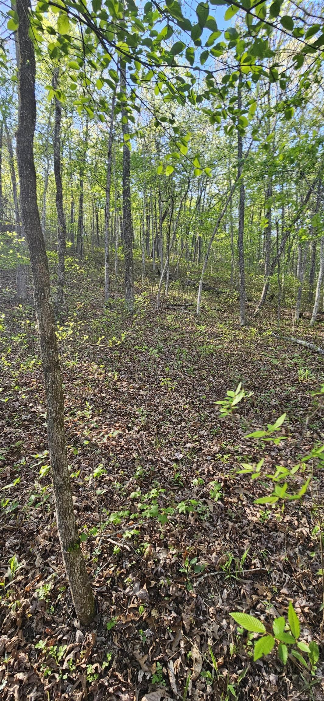 645 Chimney Rock road  Shirley, AR