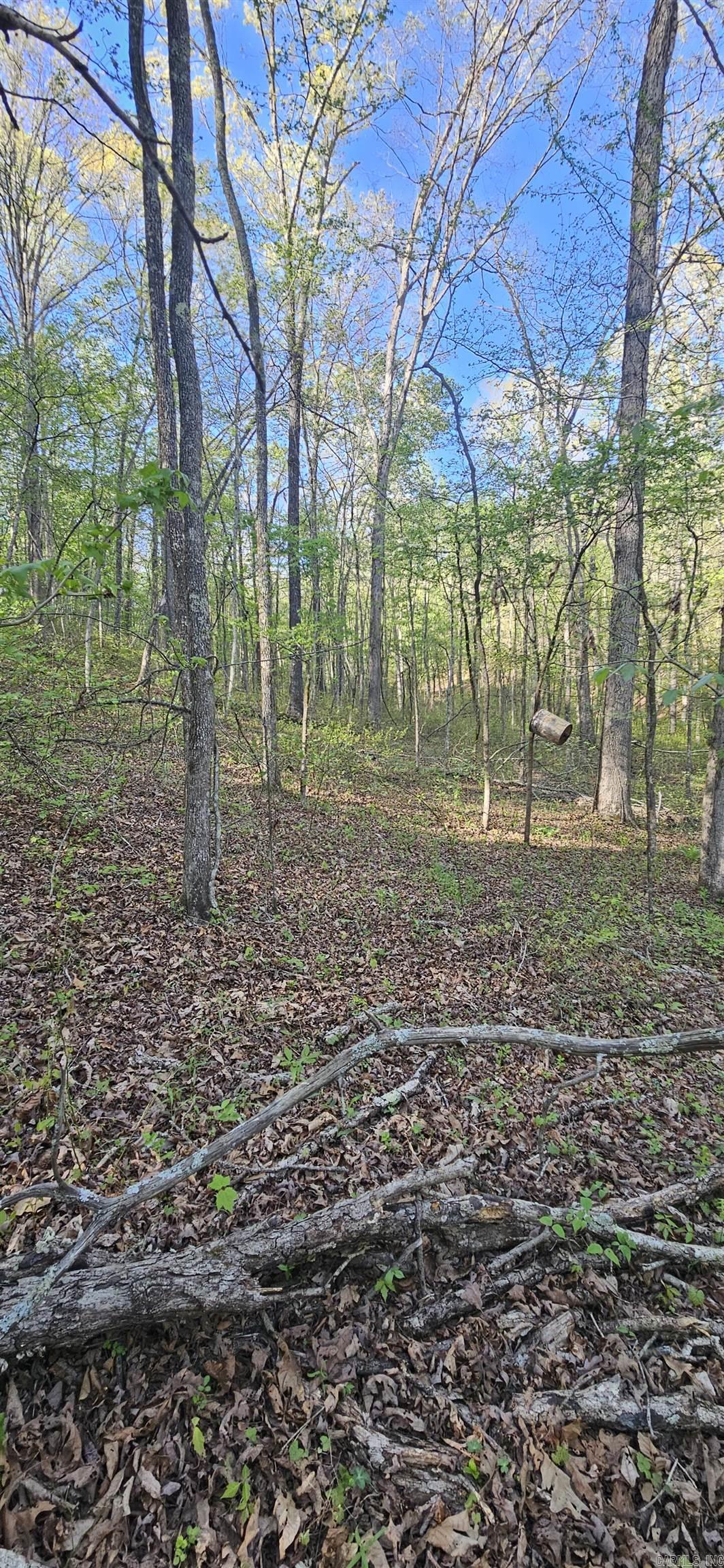 645 Chimney Rock road  Shirley, AR