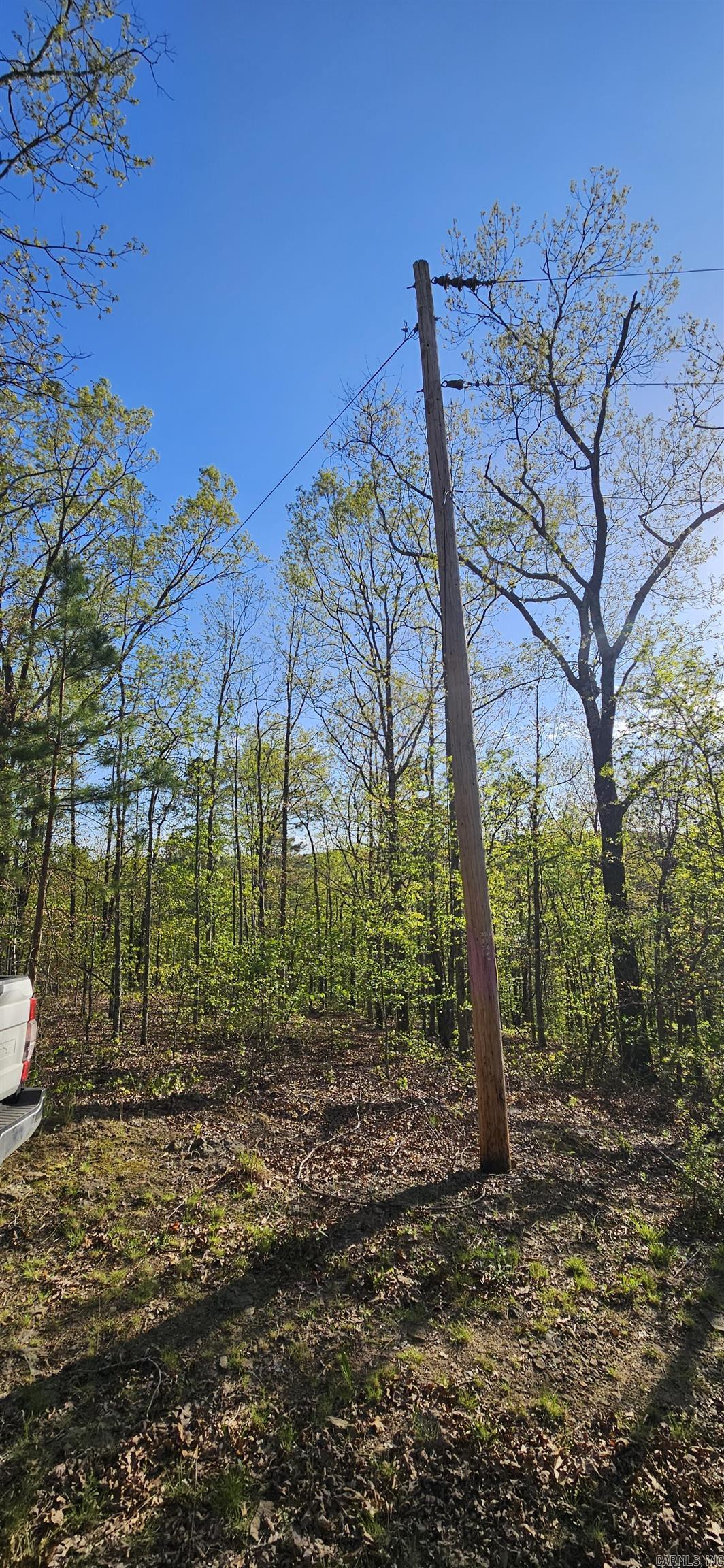 645 Chimney Rock road  Shirley, AR