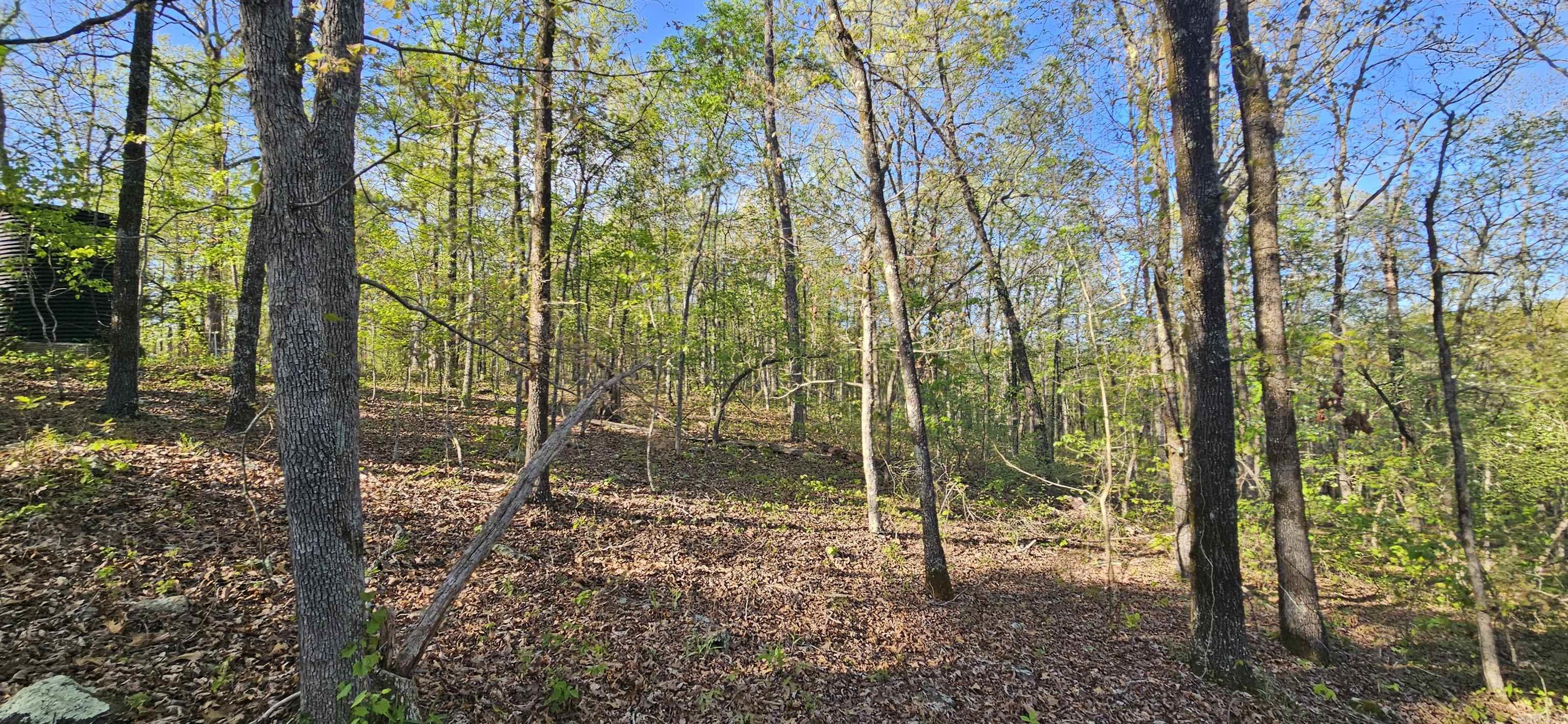 645 Chimney Rock road  Shirley, AR