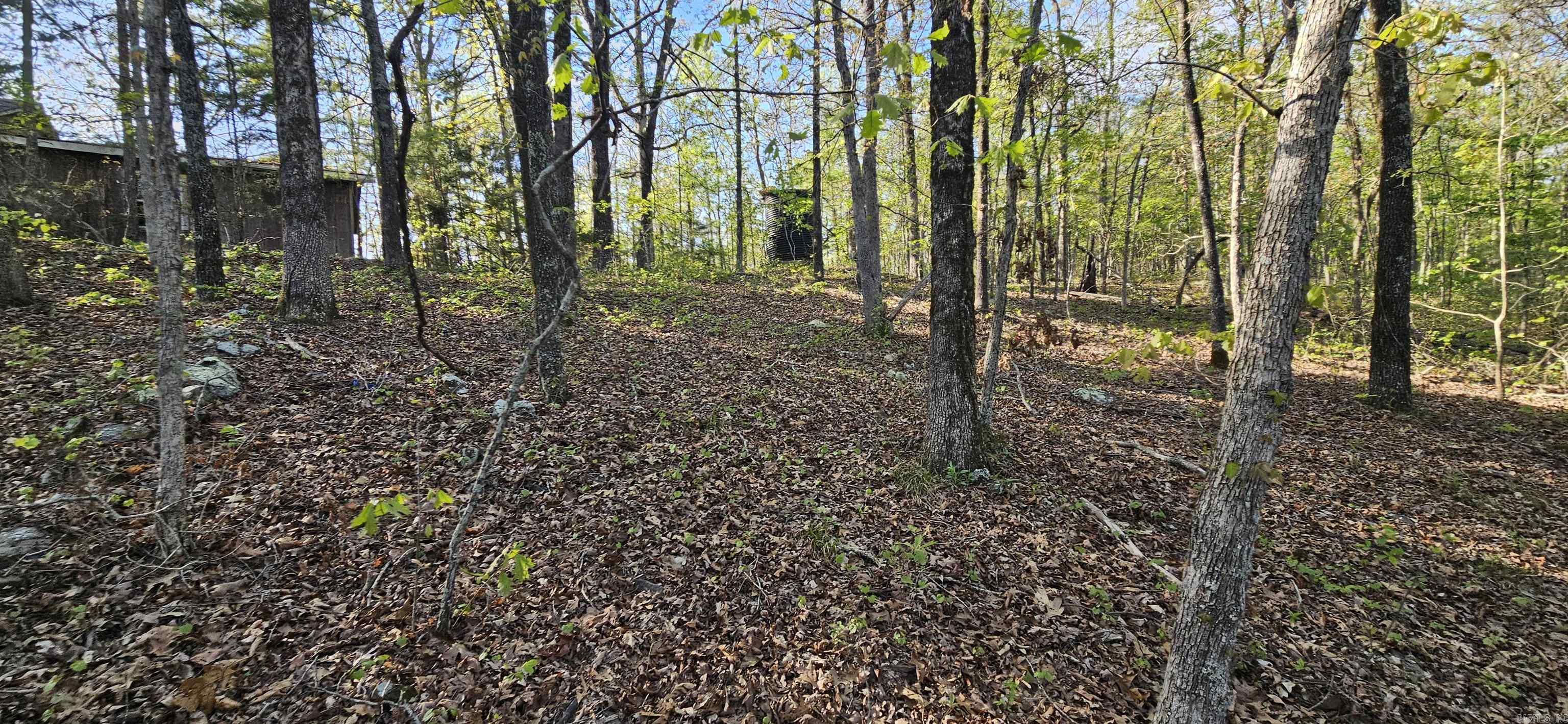 645 Chimney Rock road  Shirley, AR