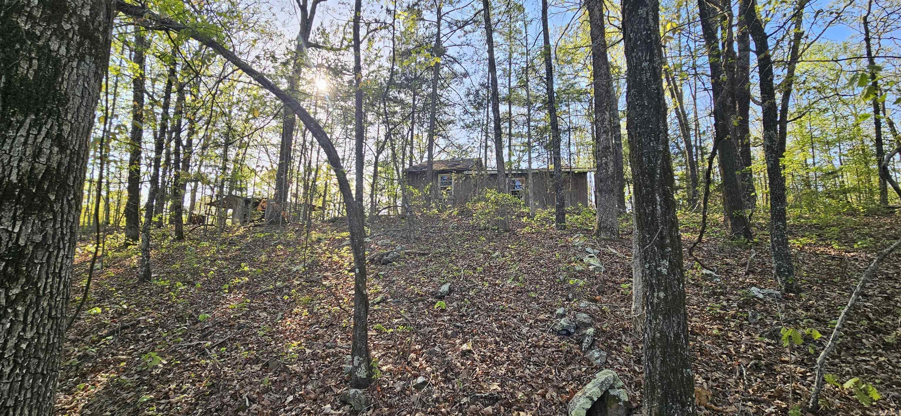 645 Chimney Rock road  Shirley, AR