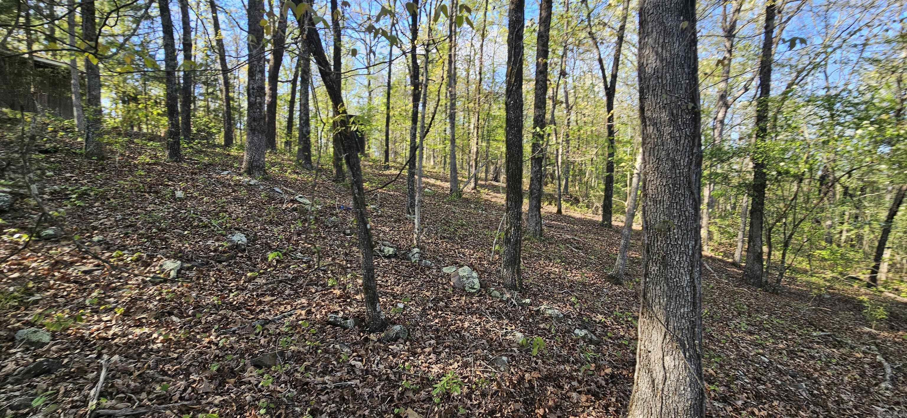 645 Chimney Rock road  Shirley, AR