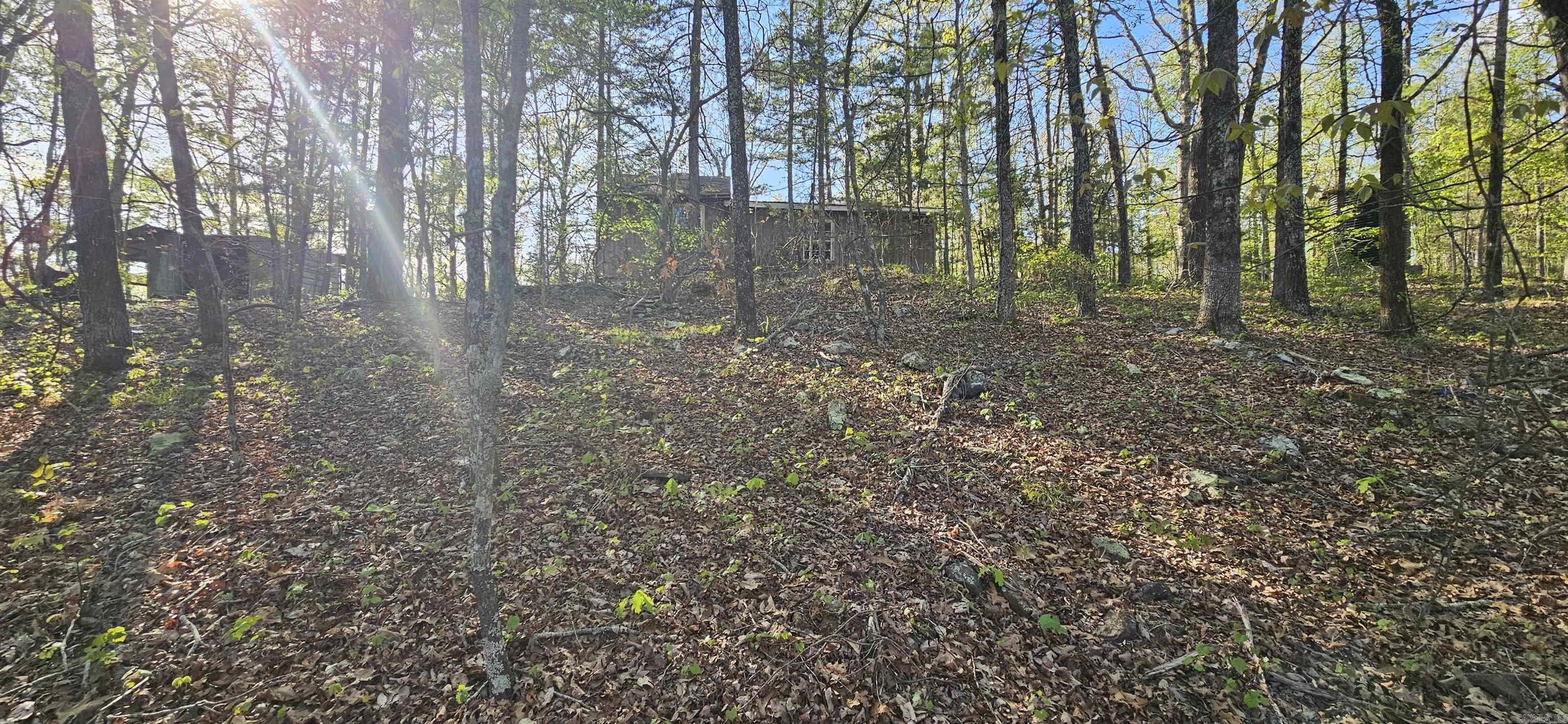 645 Chimney Rock road  Shirley, AR