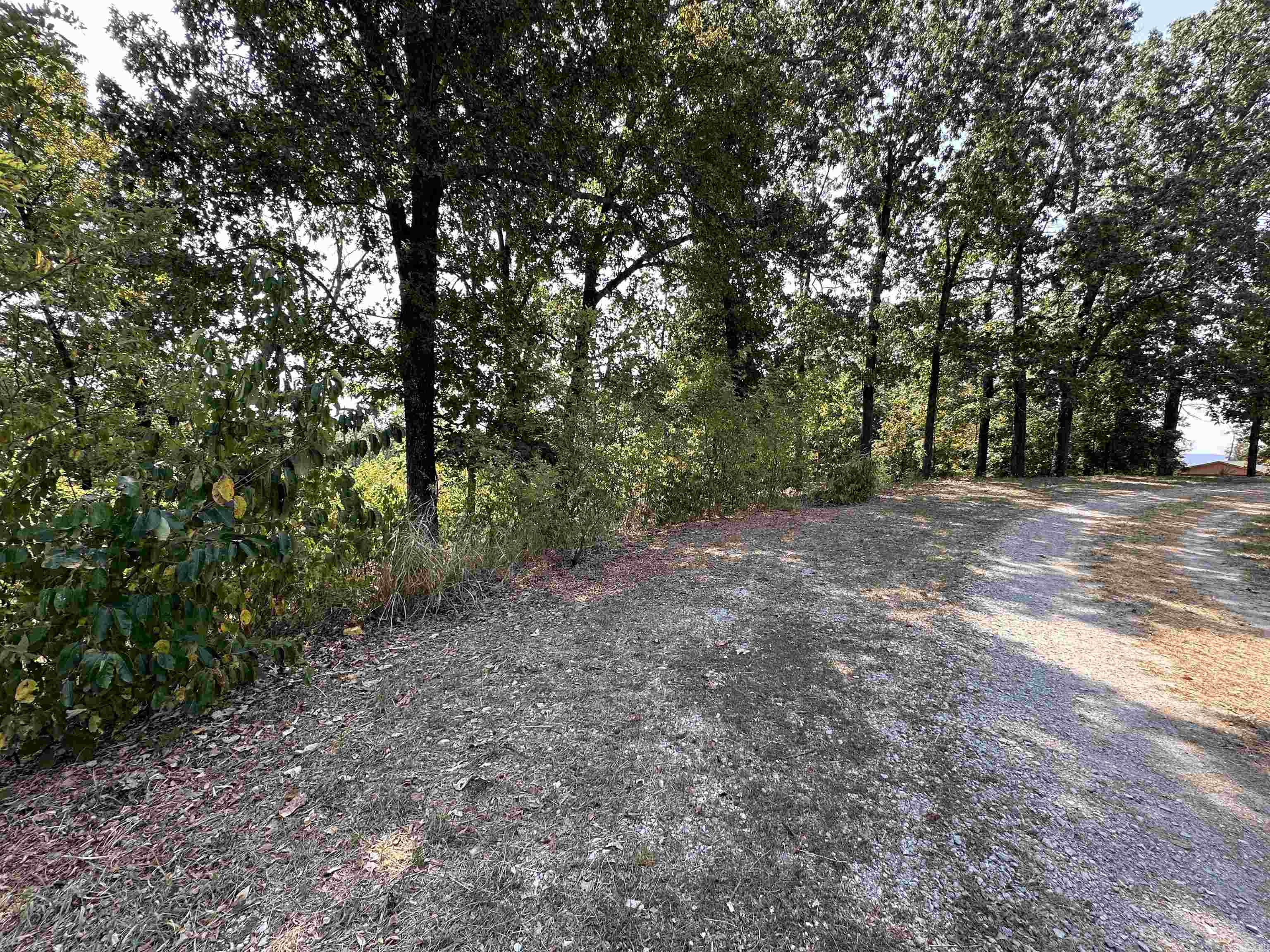 1302 & 1304 View Park Cir  Horseshoe Bend, AR