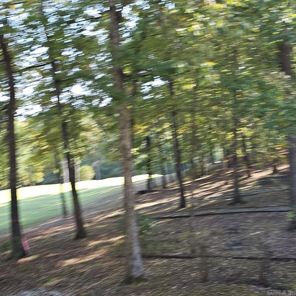 37 Delgado Way Hot Springs Village, AR 71909