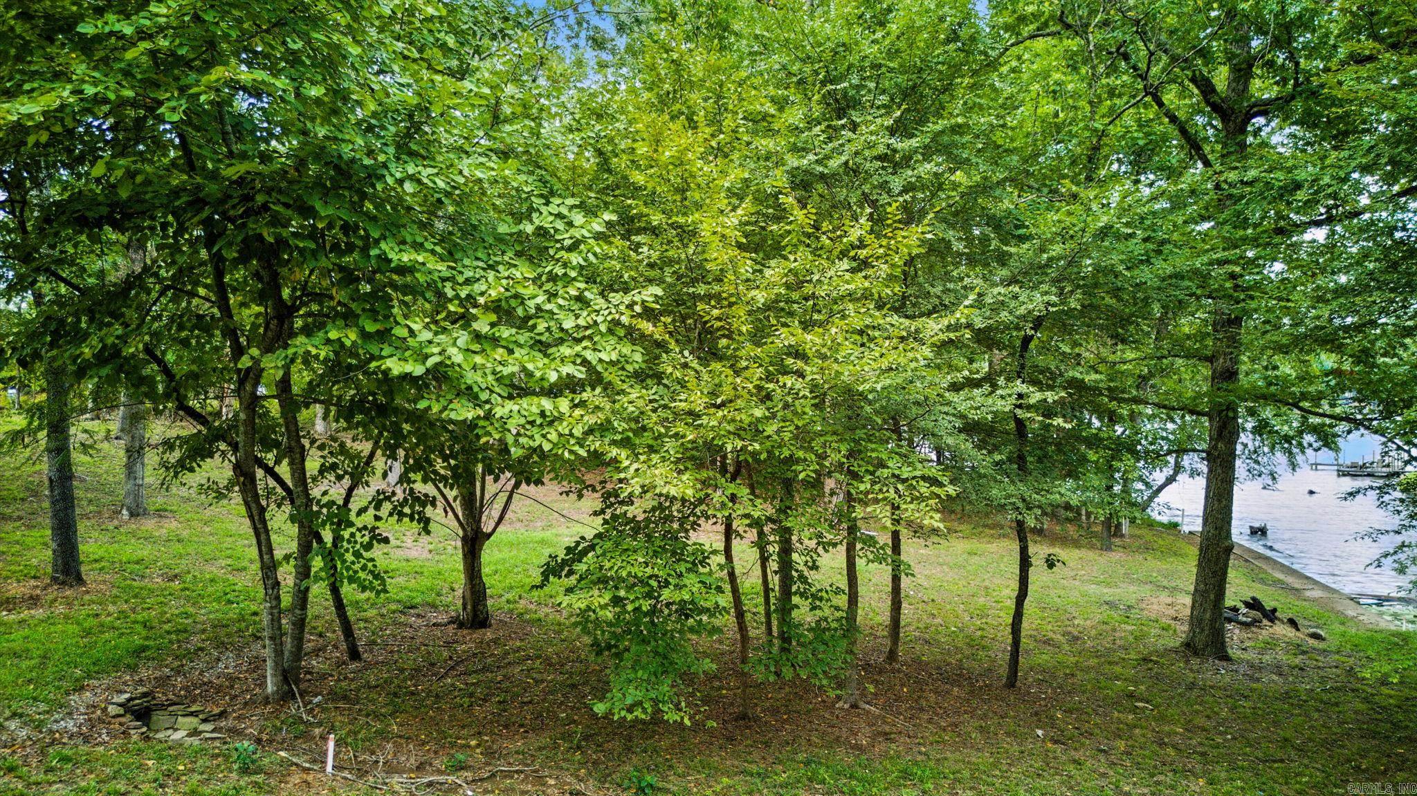 Lot 11R Charlie Stover  Royal, AR