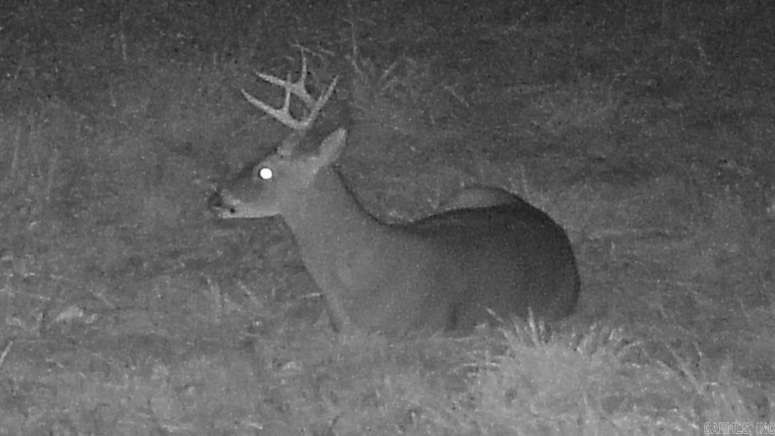 20.17 AC RAINBOW VALLEY TRAIL  Mammoth Spring, AR