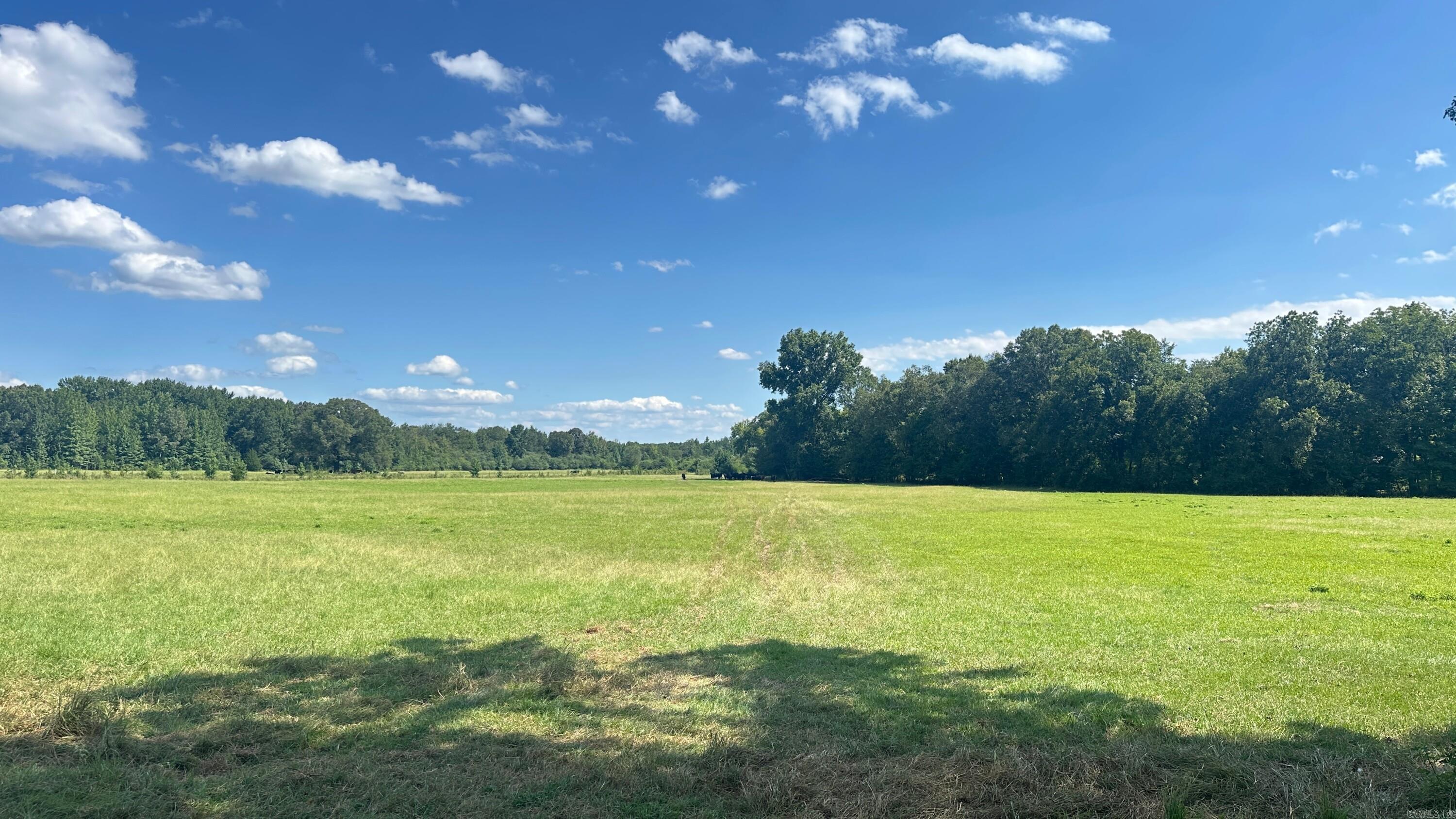 730 HWY 258 Bald Knob, AR 72010