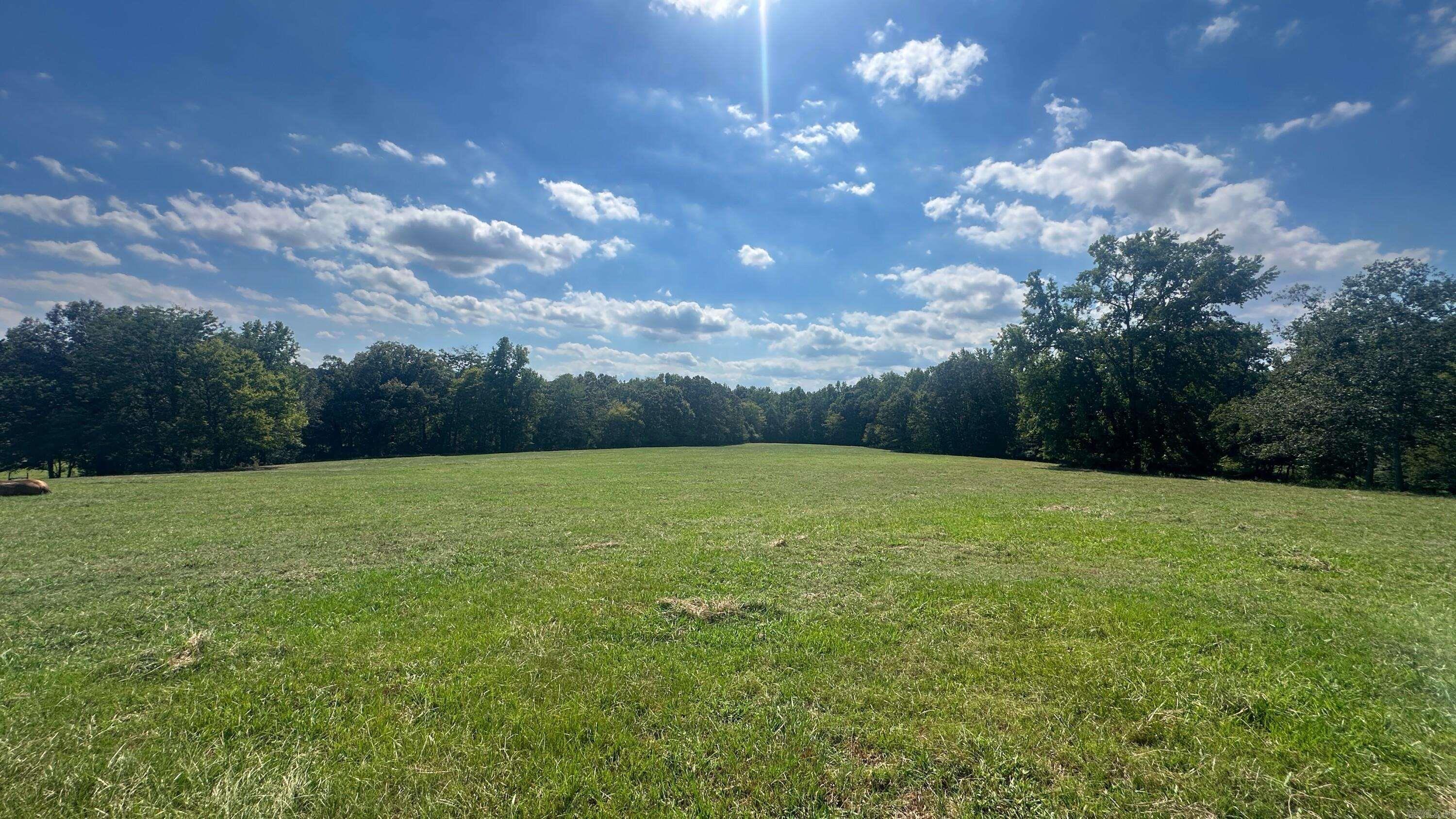 730 HWY 258 Bald Knob, AR 72010