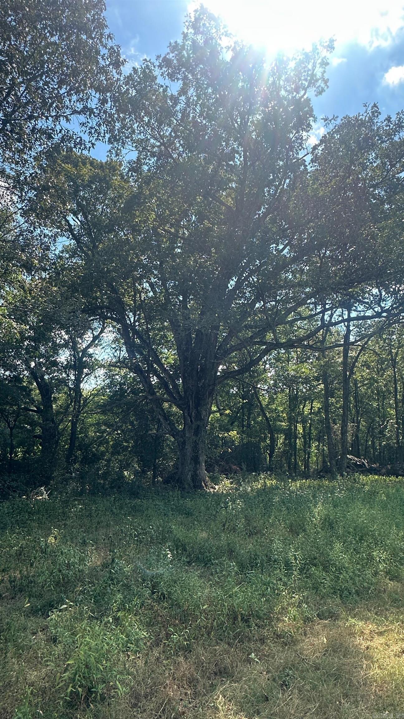 730 HWY 258 Bald Knob, AR 72010