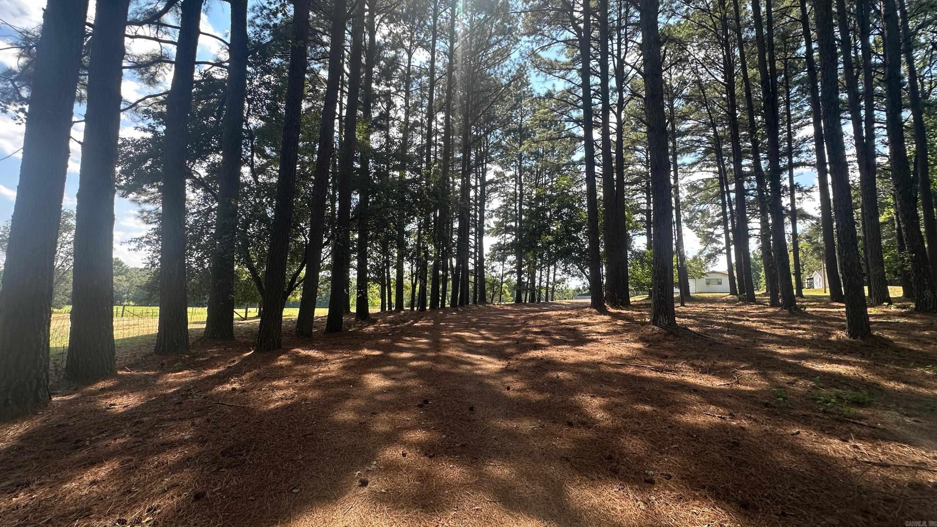 730 HWY 258 Bald Knob, AR 72010