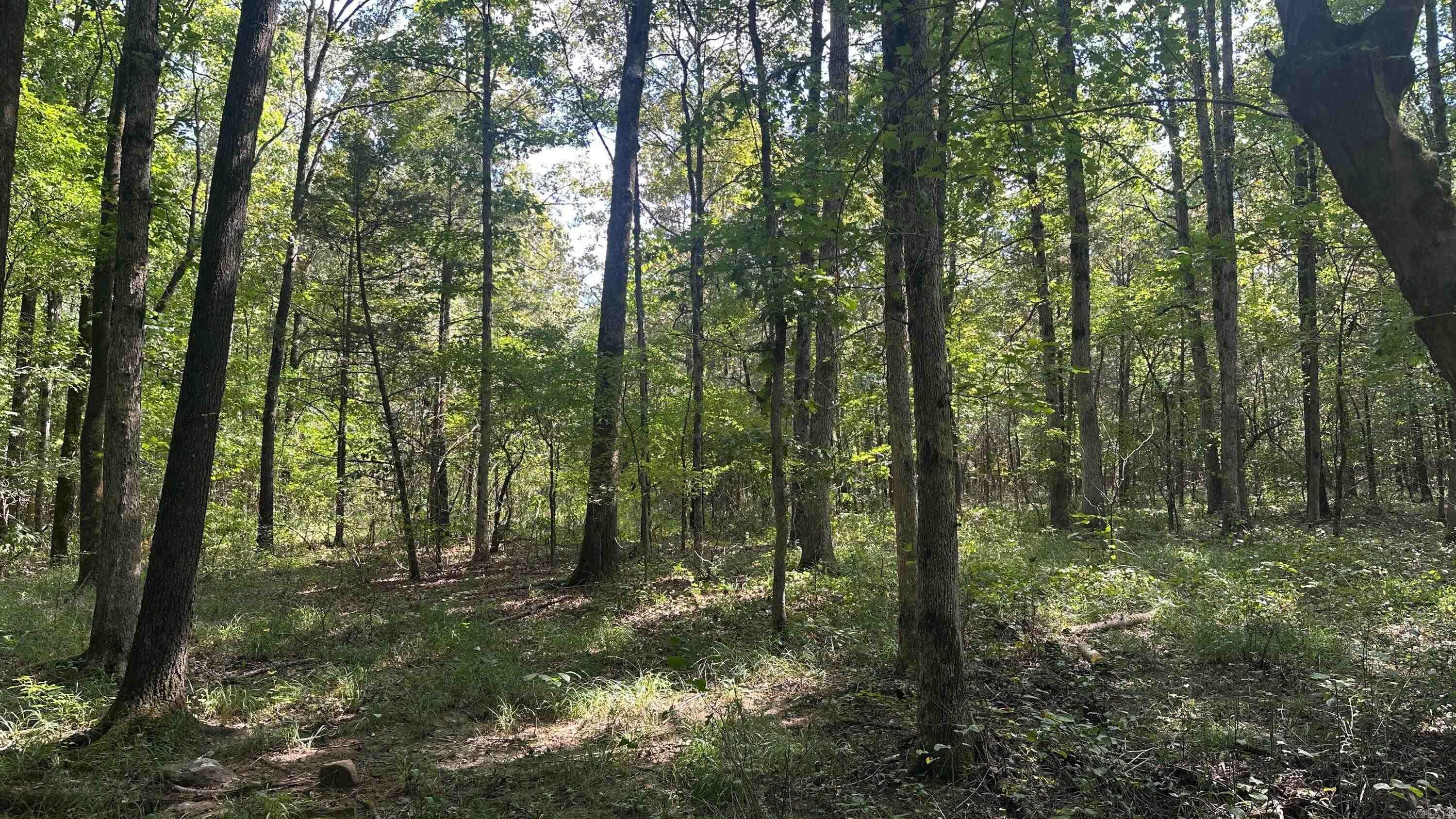 730 HWY 258 Bald Knob, AR 72010