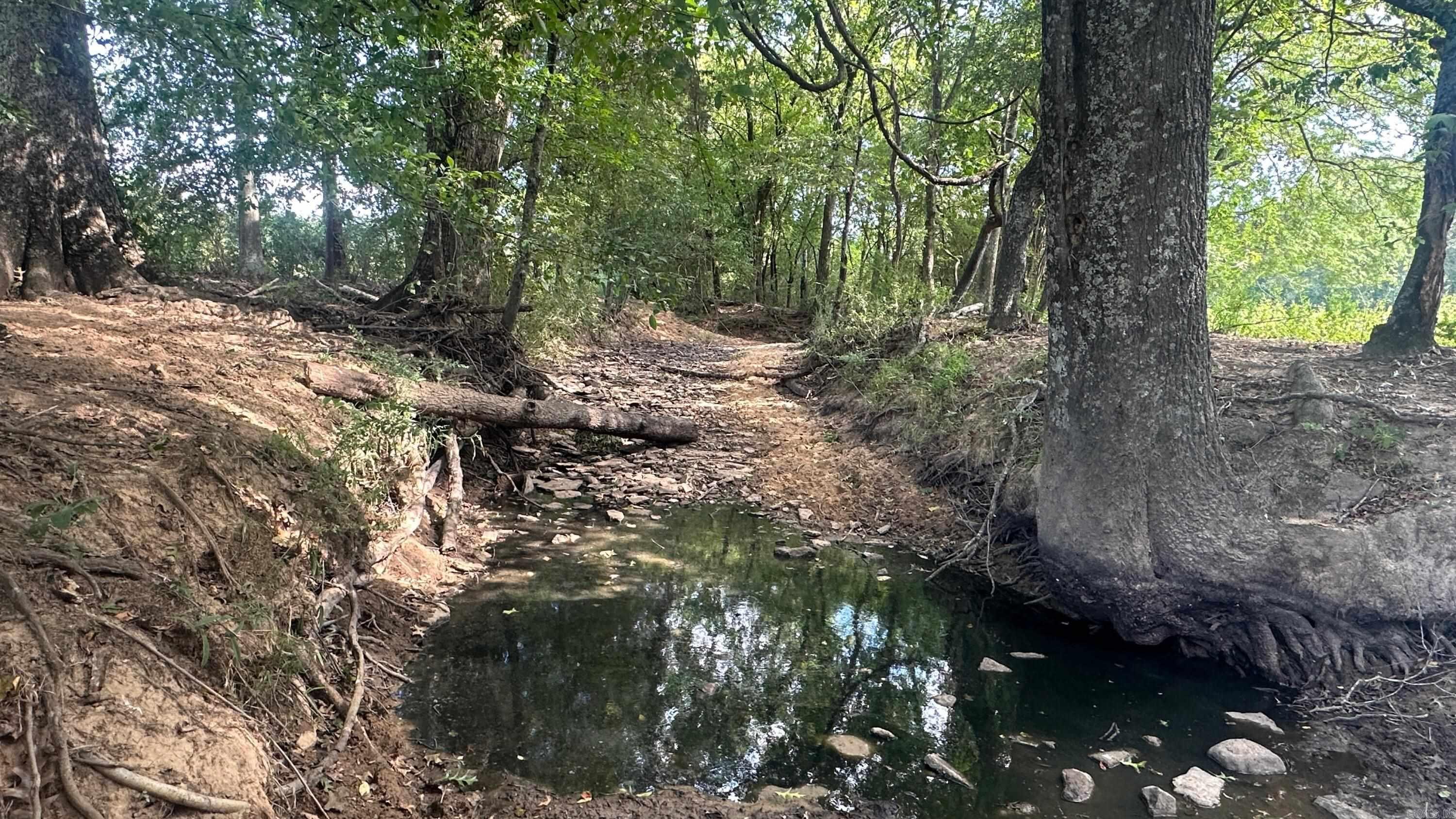 730 HWY 258 Bald Knob, AR 72010