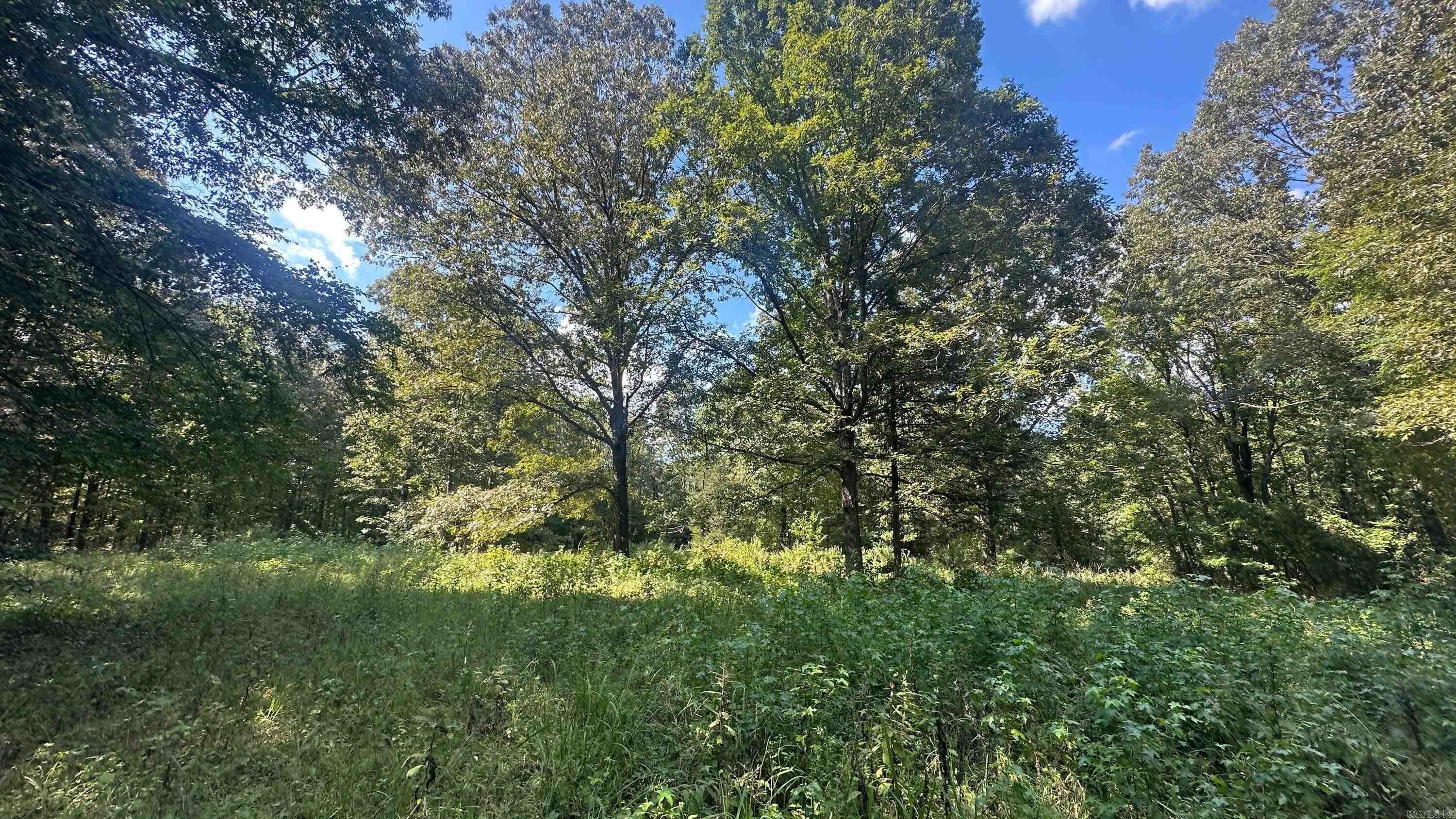 730 HWY 258 Bald Knob, AR 72010