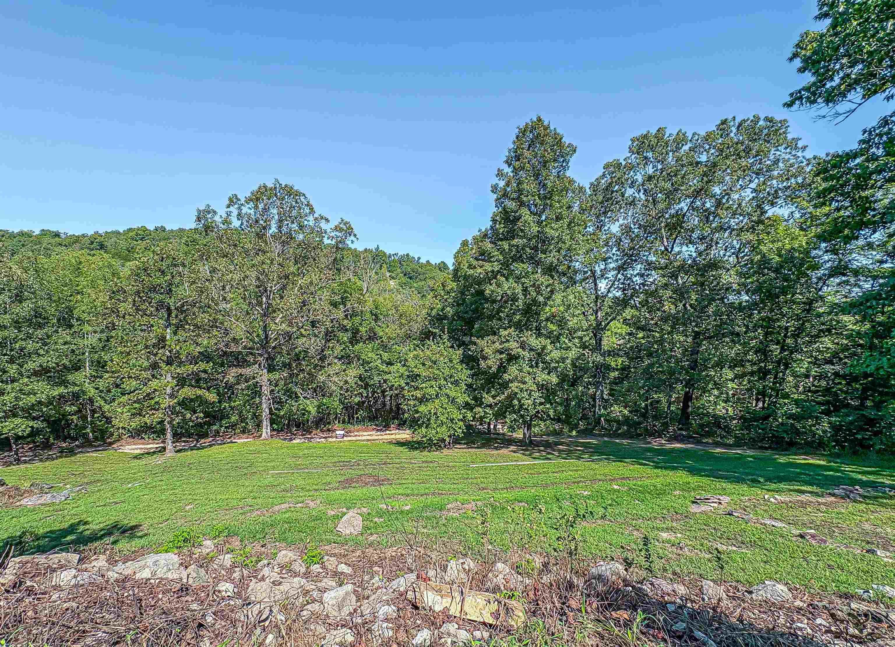 123 Firestone  St. Joe, AR