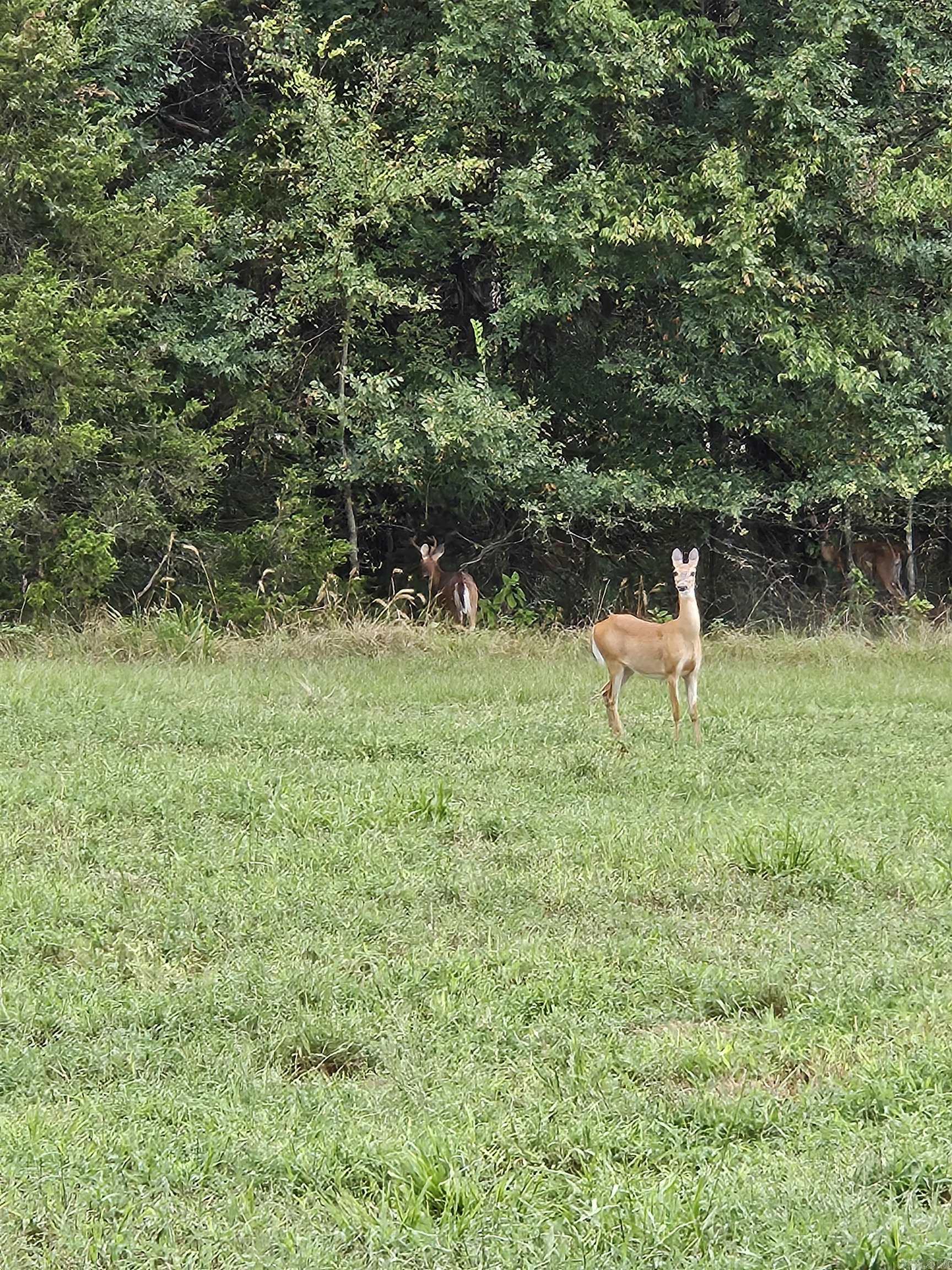 2 Memory  Hattieville, AR