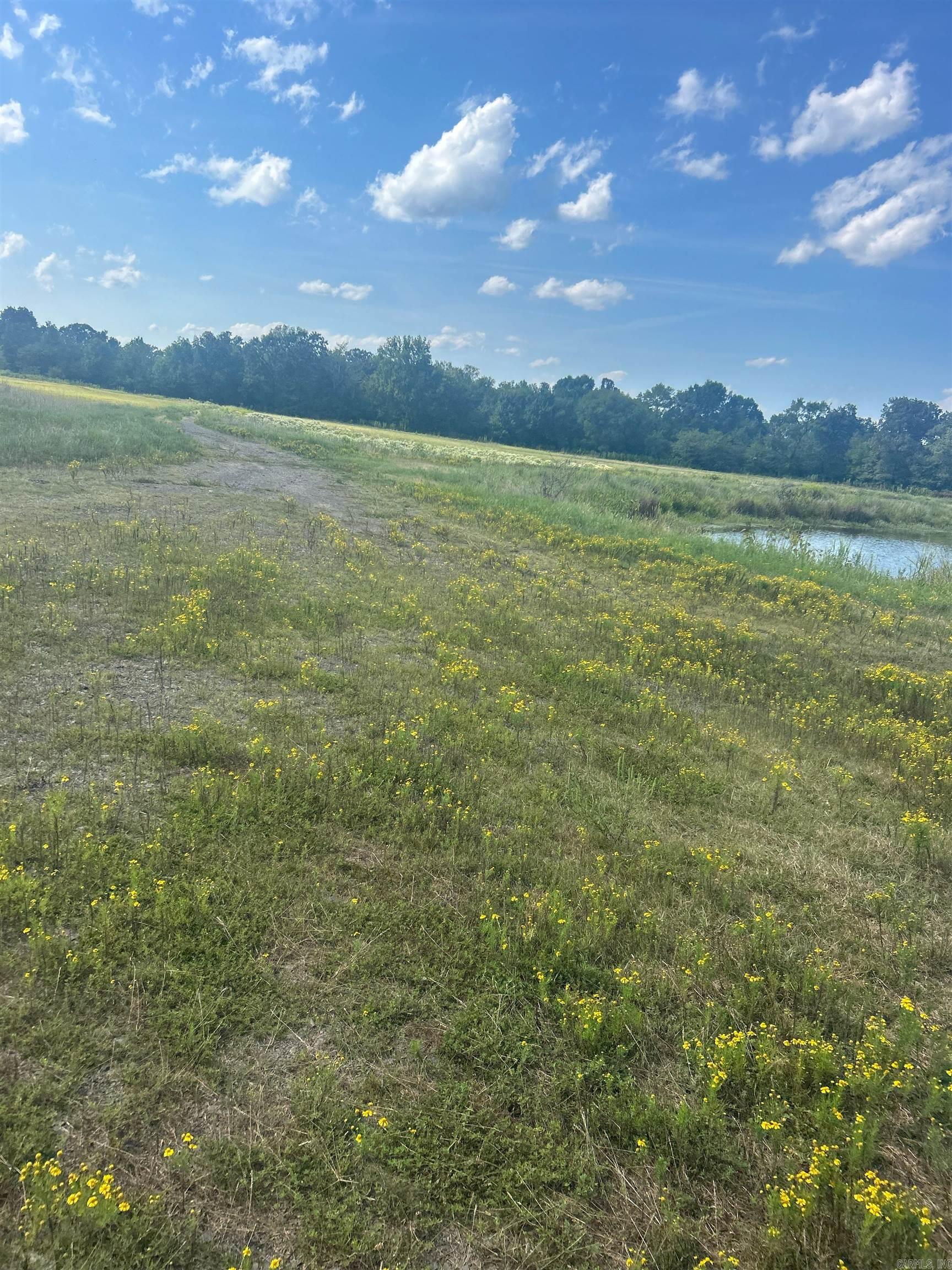 Hwy 124 Hwy 124  Pangburn, AR