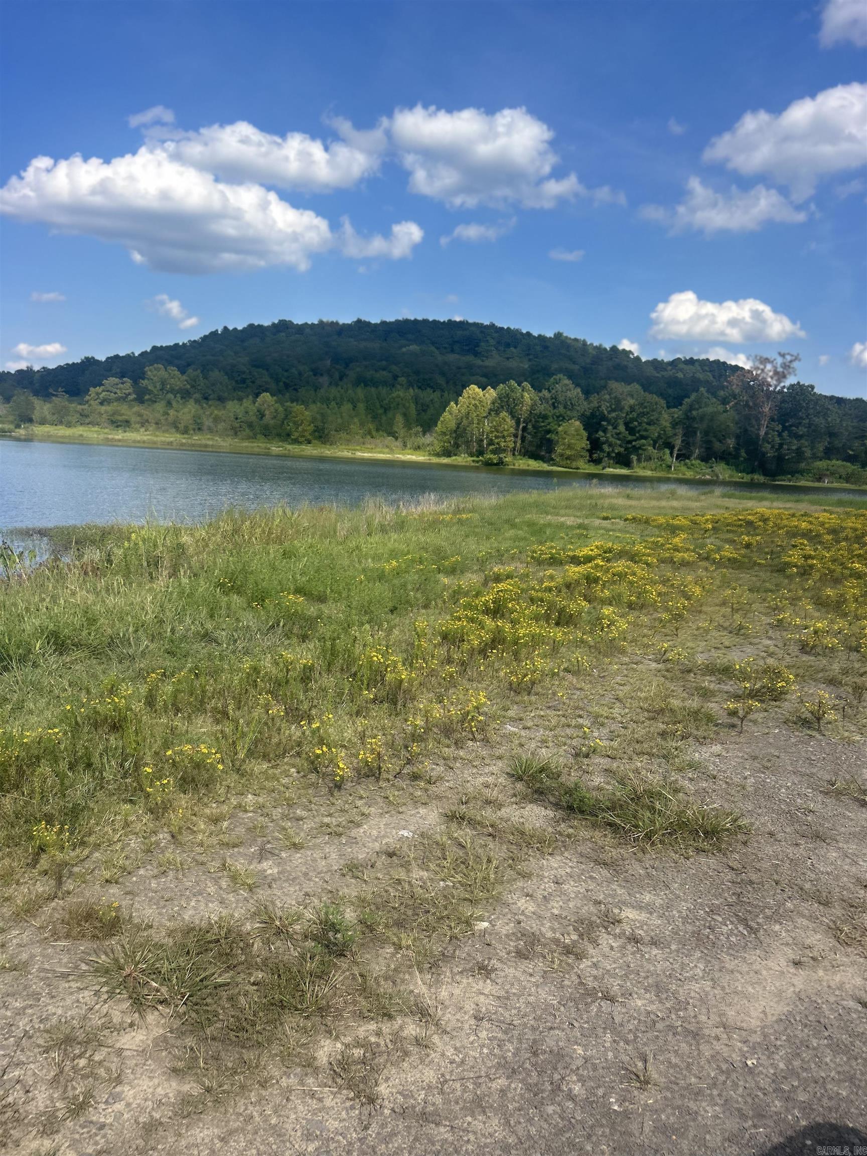 Hwy 124 Hwy 124  Pangburn, AR