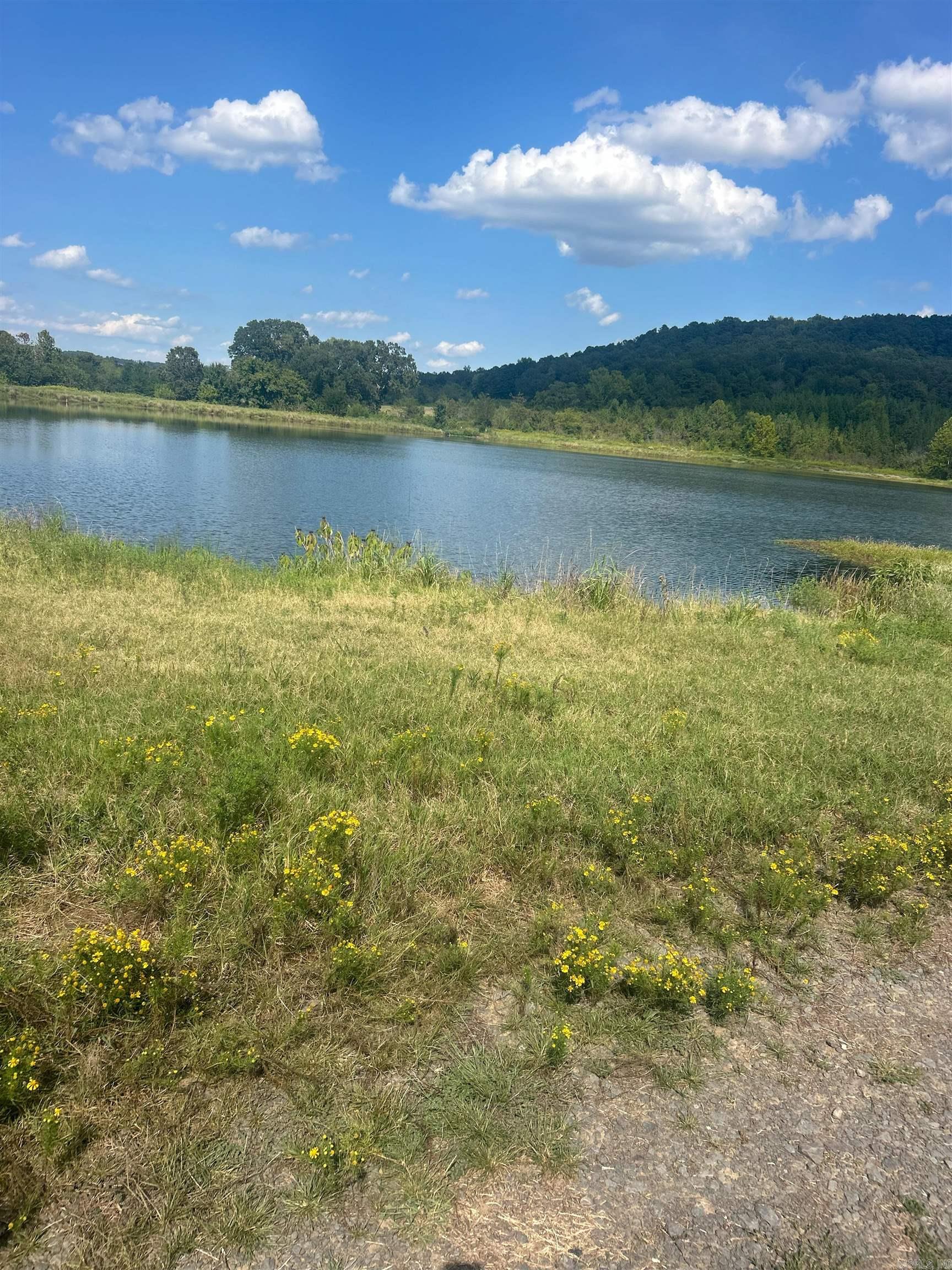 Hwy 124 Hwy 124  Pangburn, AR