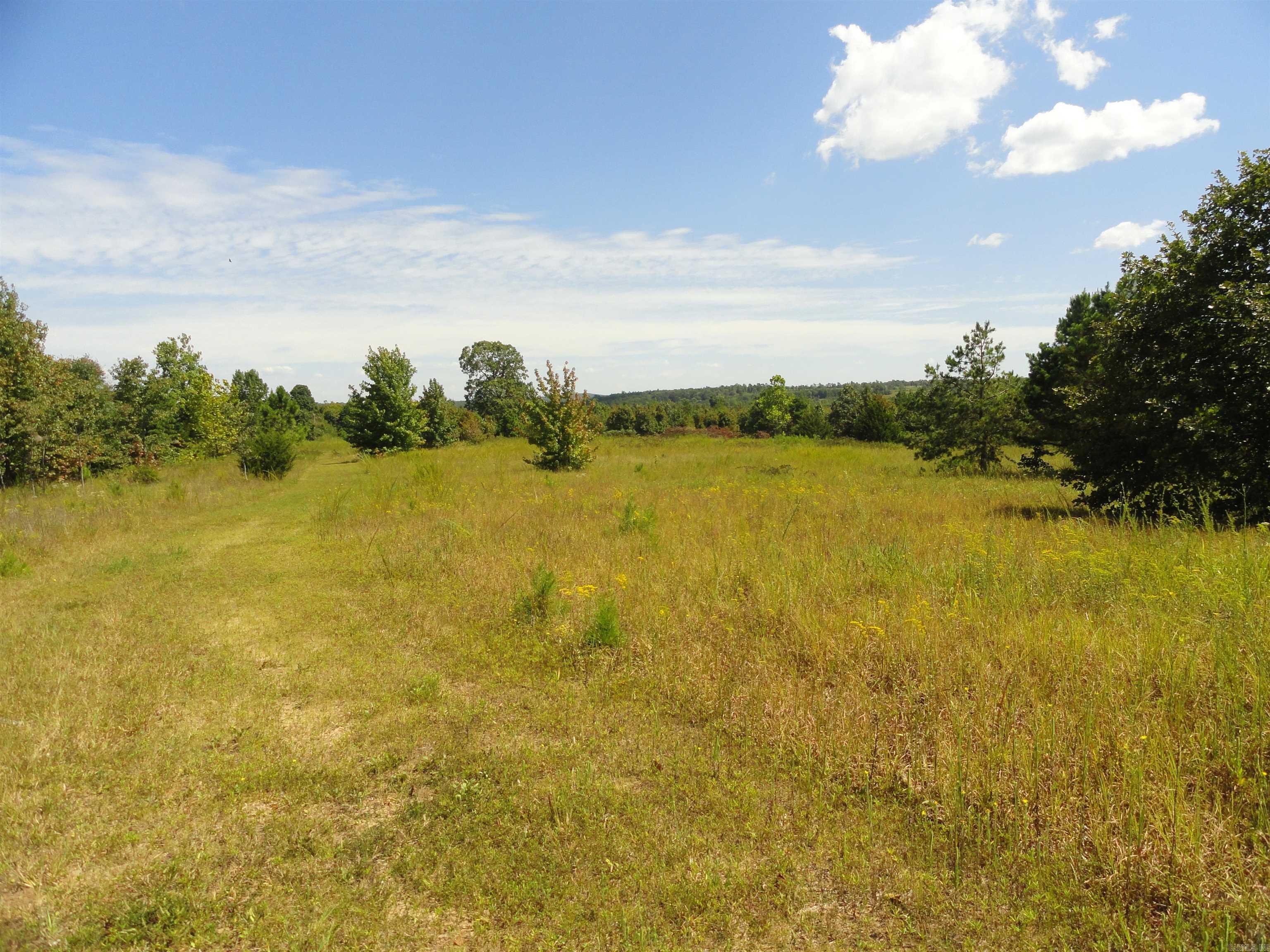 878 Harry Brown Road Leslie, AR 72645