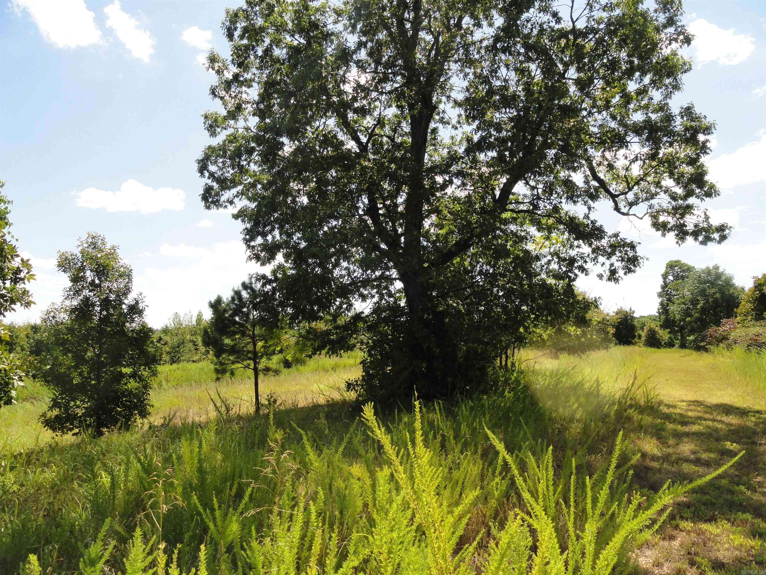 878 Harry Brown Road Leslie, AR 72645