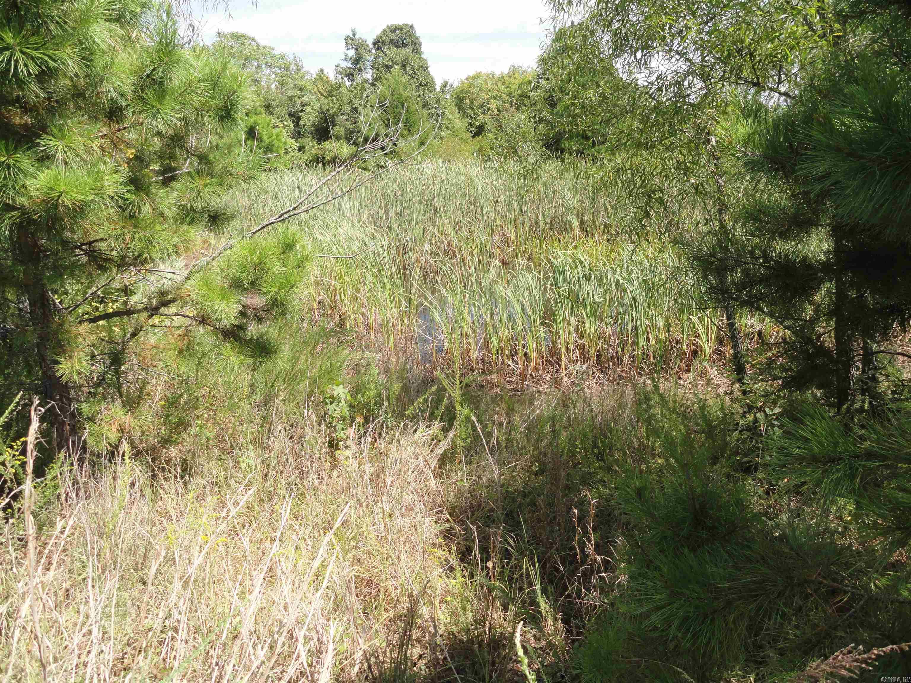 878 Harry Brown Road Leslie, AR 72645