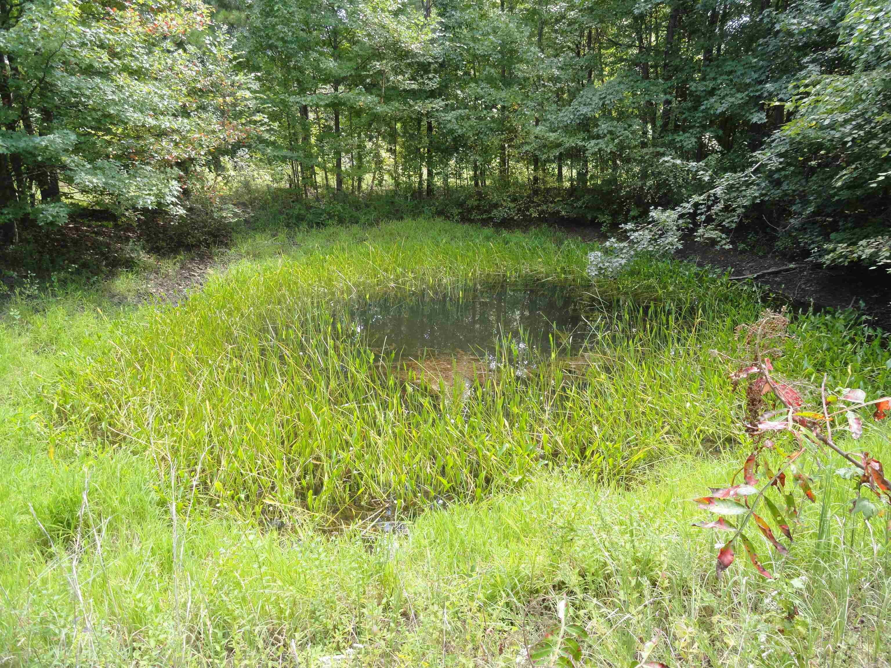 878 Harry Brown Road Leslie, AR 72645