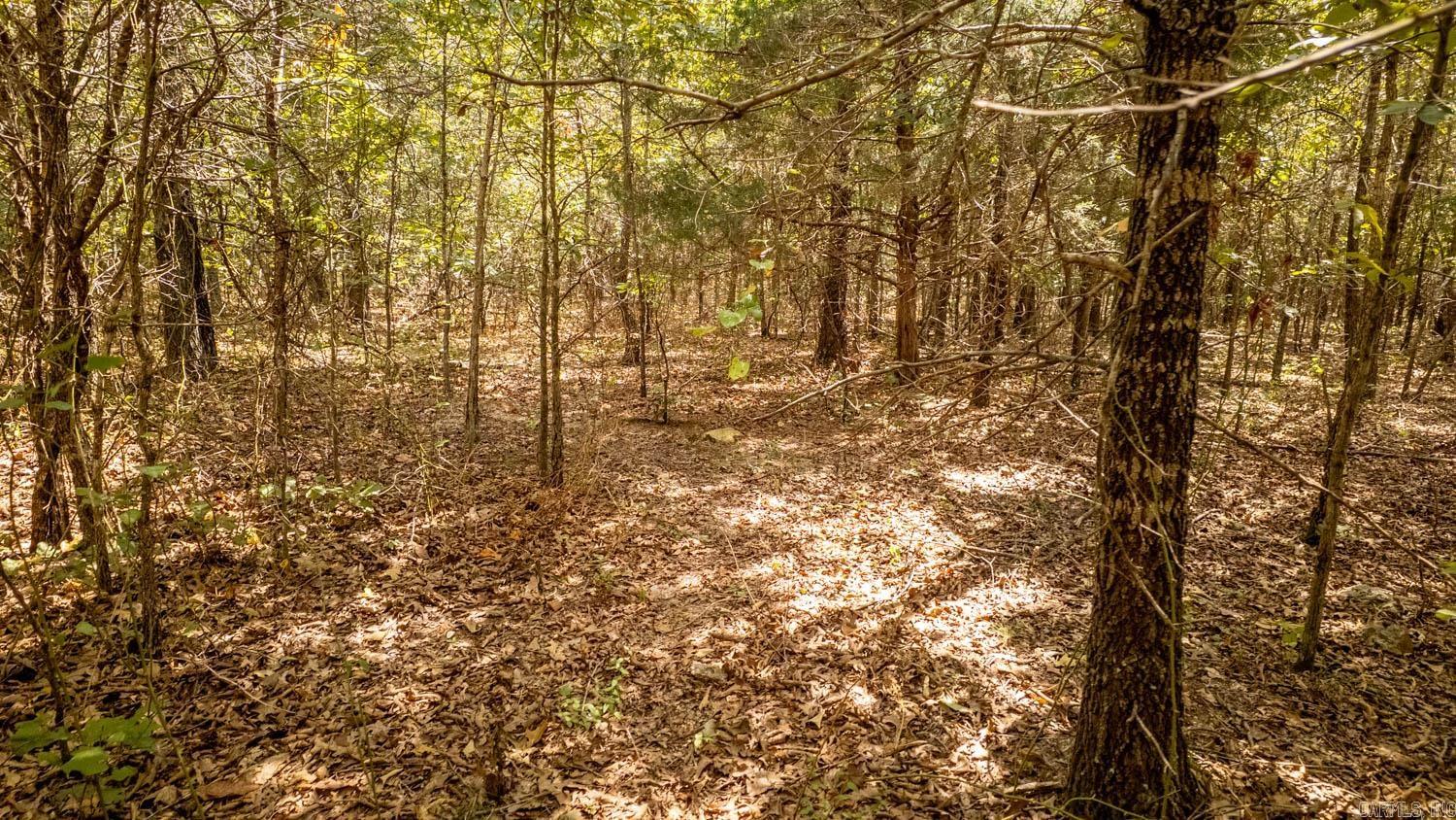 000 County Road 9640  Koshkonong, MO