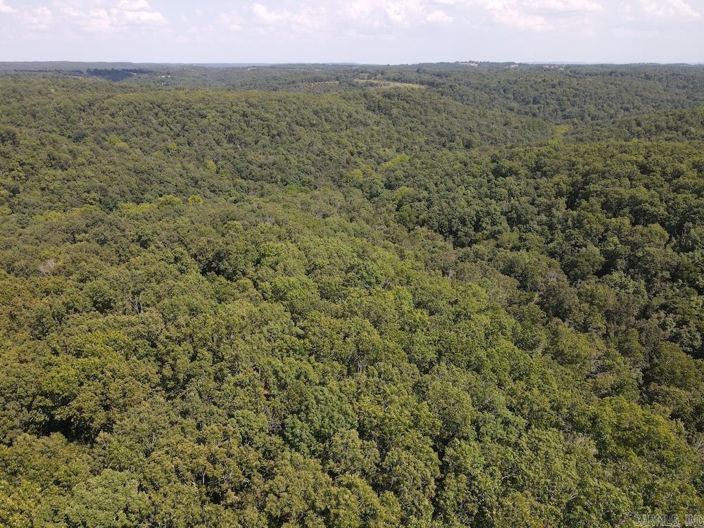 550 Hillbilly Hollow Trail  Pyatt, AR