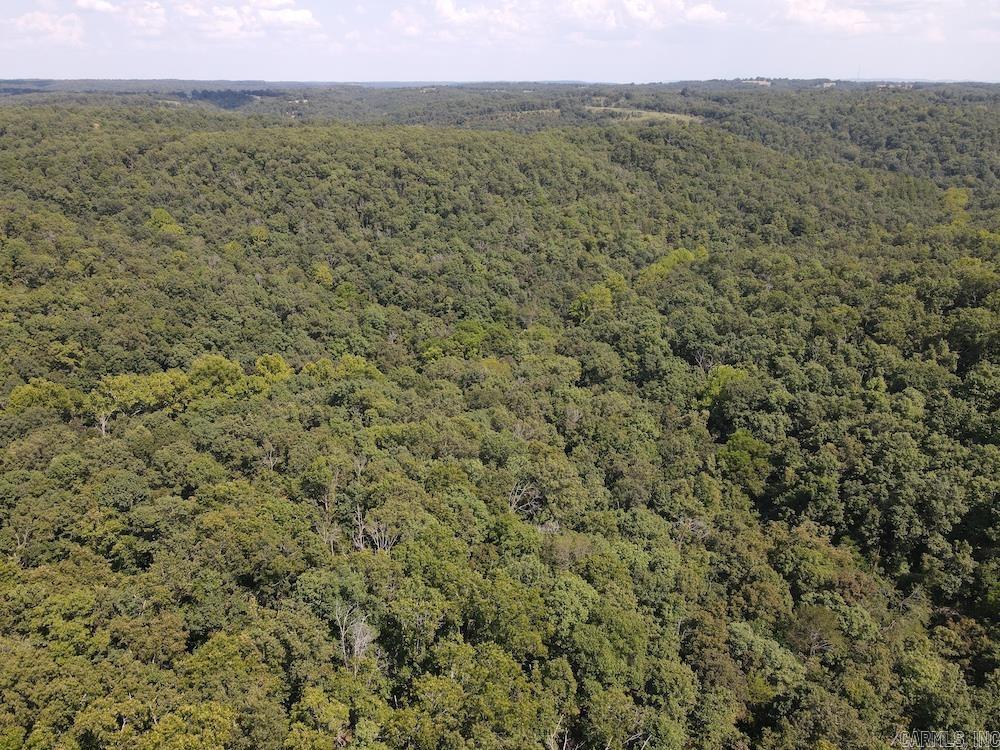 550 Hillbilly Hollow Trail  Pyatt, AR