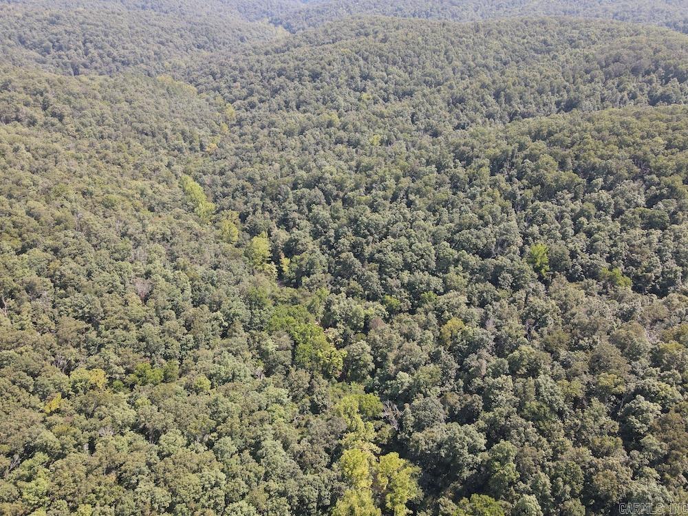 550 Hillbilly Hollow Trail  Pyatt, AR