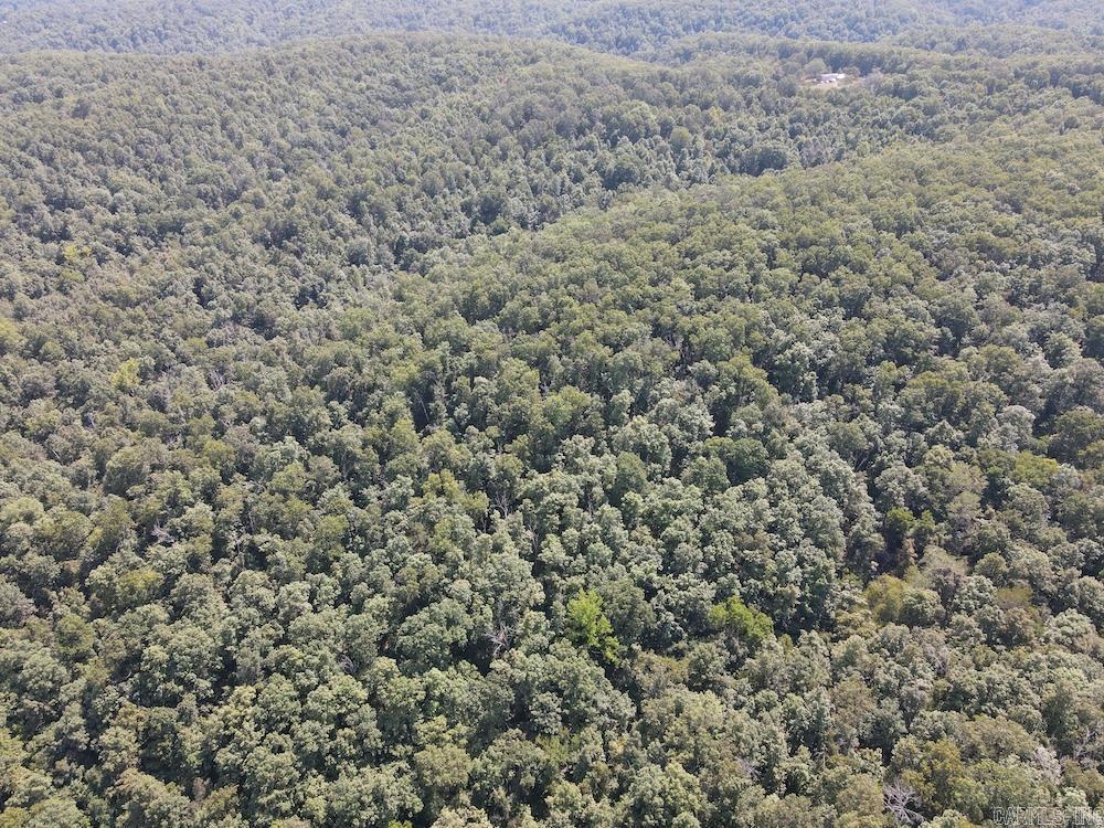 550 Hillbilly Hollow Trail  Pyatt, AR