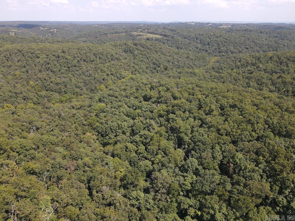 550 Hillbilly Hollow Trail  Pyatt, AR