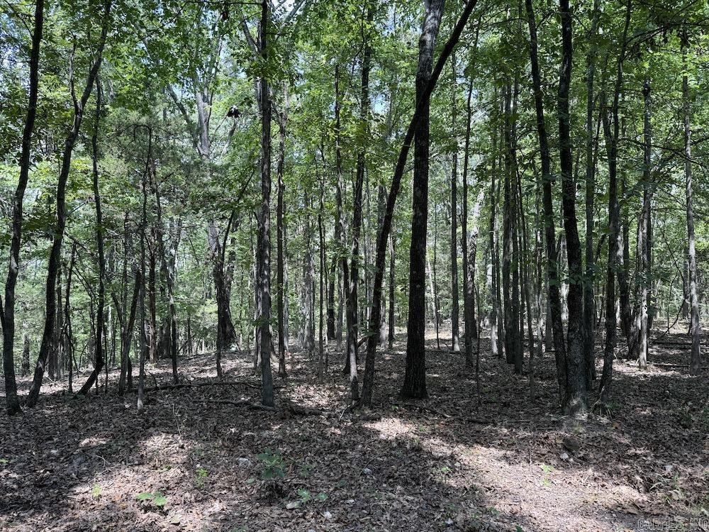 550 Hillbilly Hollow Trail  Pyatt, AR
