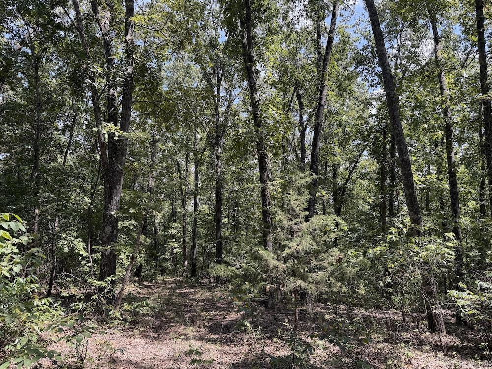 550 Hillbilly Hollow Trail  Pyatt, AR