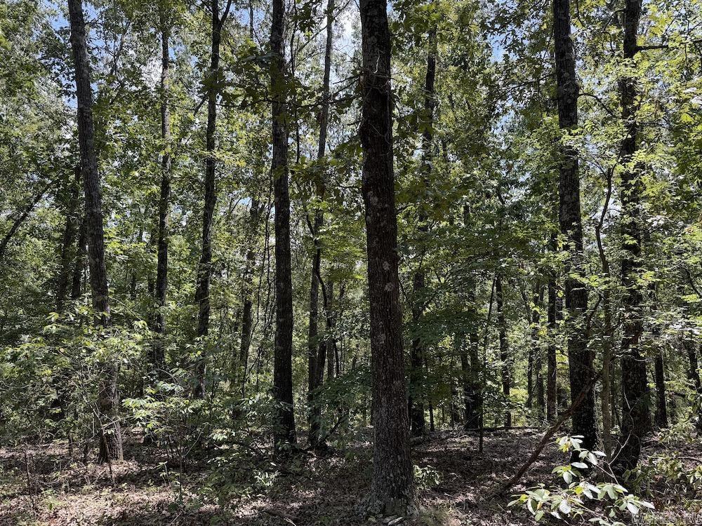 550 Hillbilly Hollow Trail  Pyatt, AR