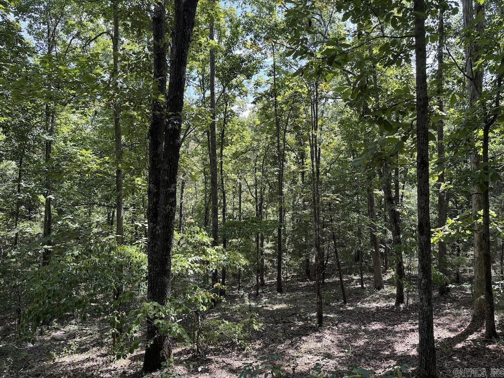 550 Hillbilly Hollow Trail  Pyatt, AR