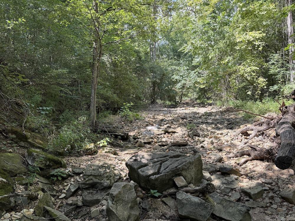 550 Hillbilly Hollow Trail  Pyatt, AR