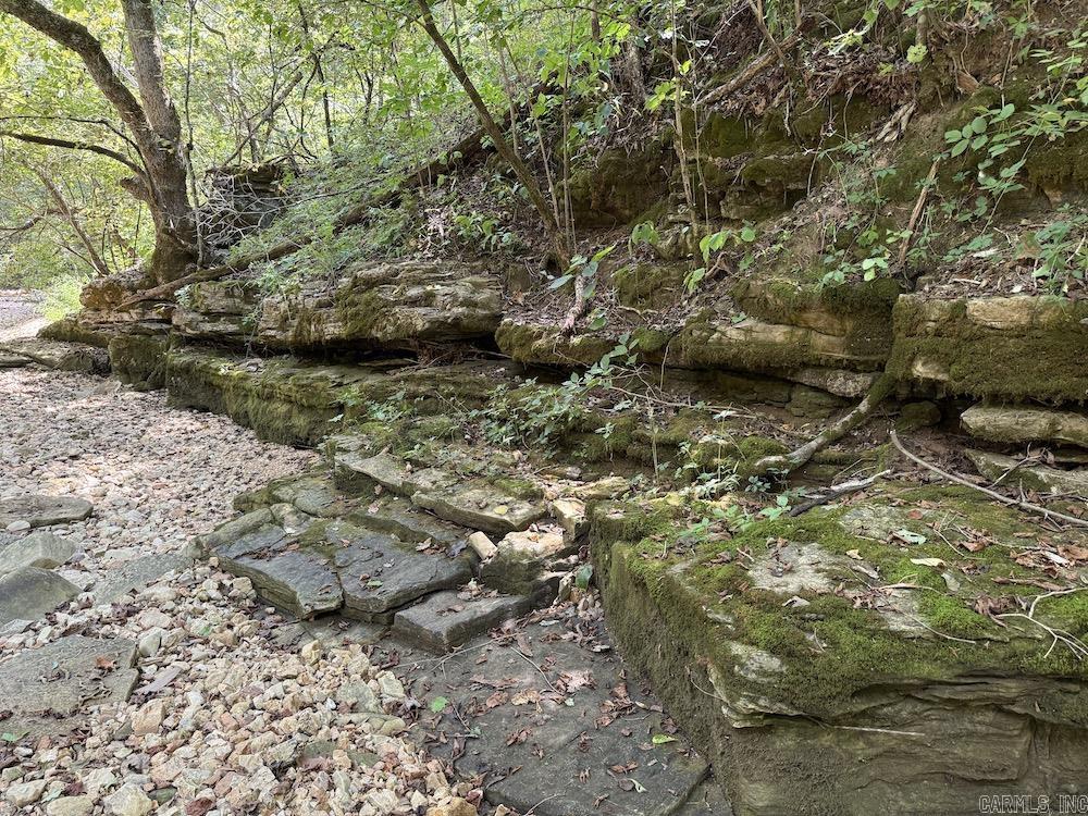 550 Hillbilly Hollow Trail  Pyatt, AR