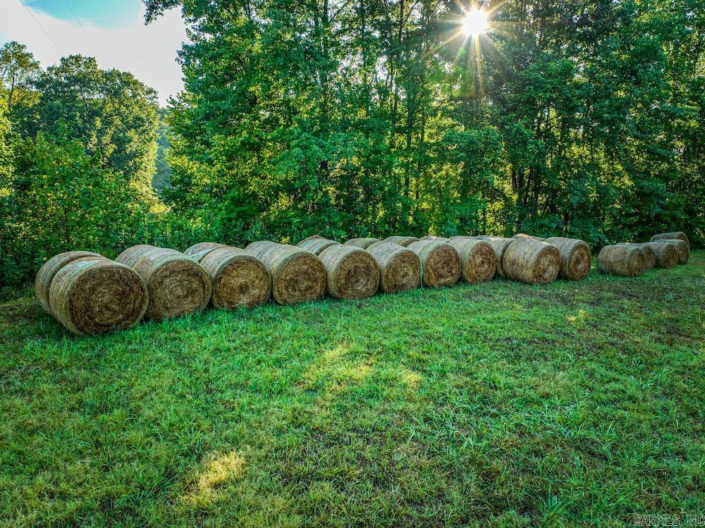  Owens Ward Rd  Fifty-Six, AR