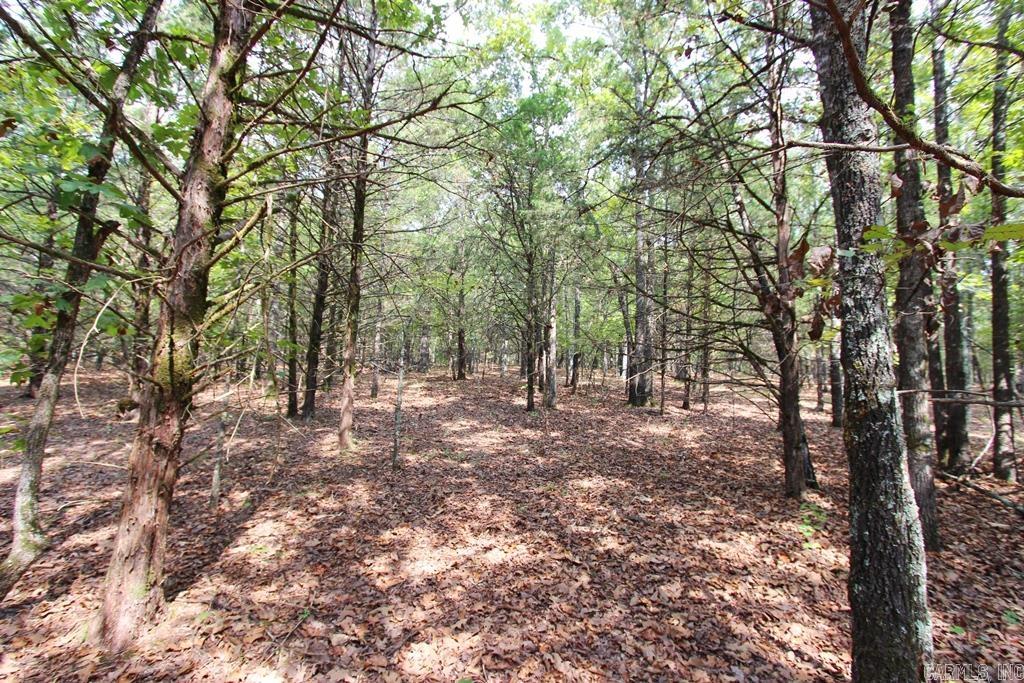 226 Blythe  Greenbrier, AR