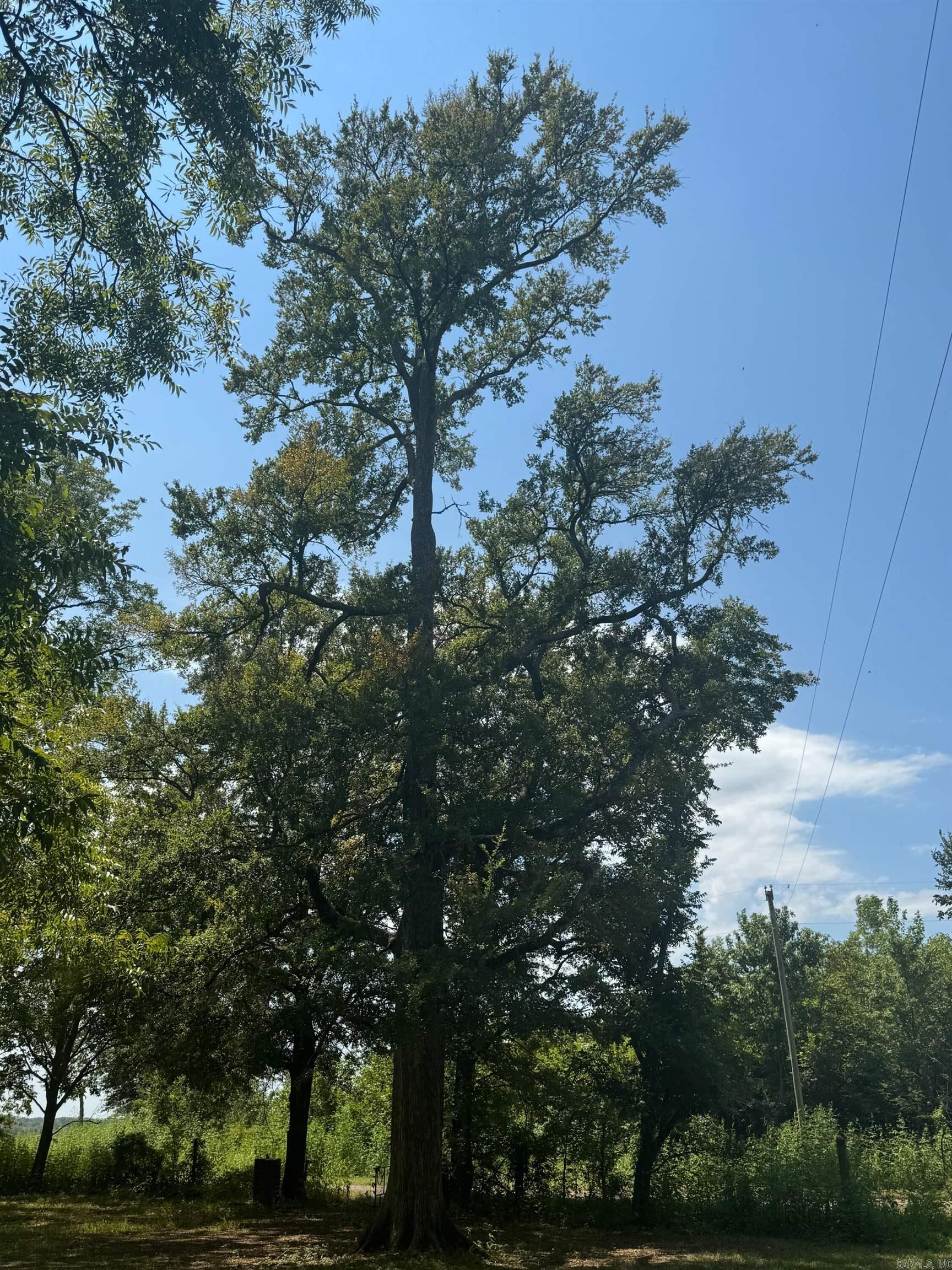 1806 County Rd 150  Augusta, AR