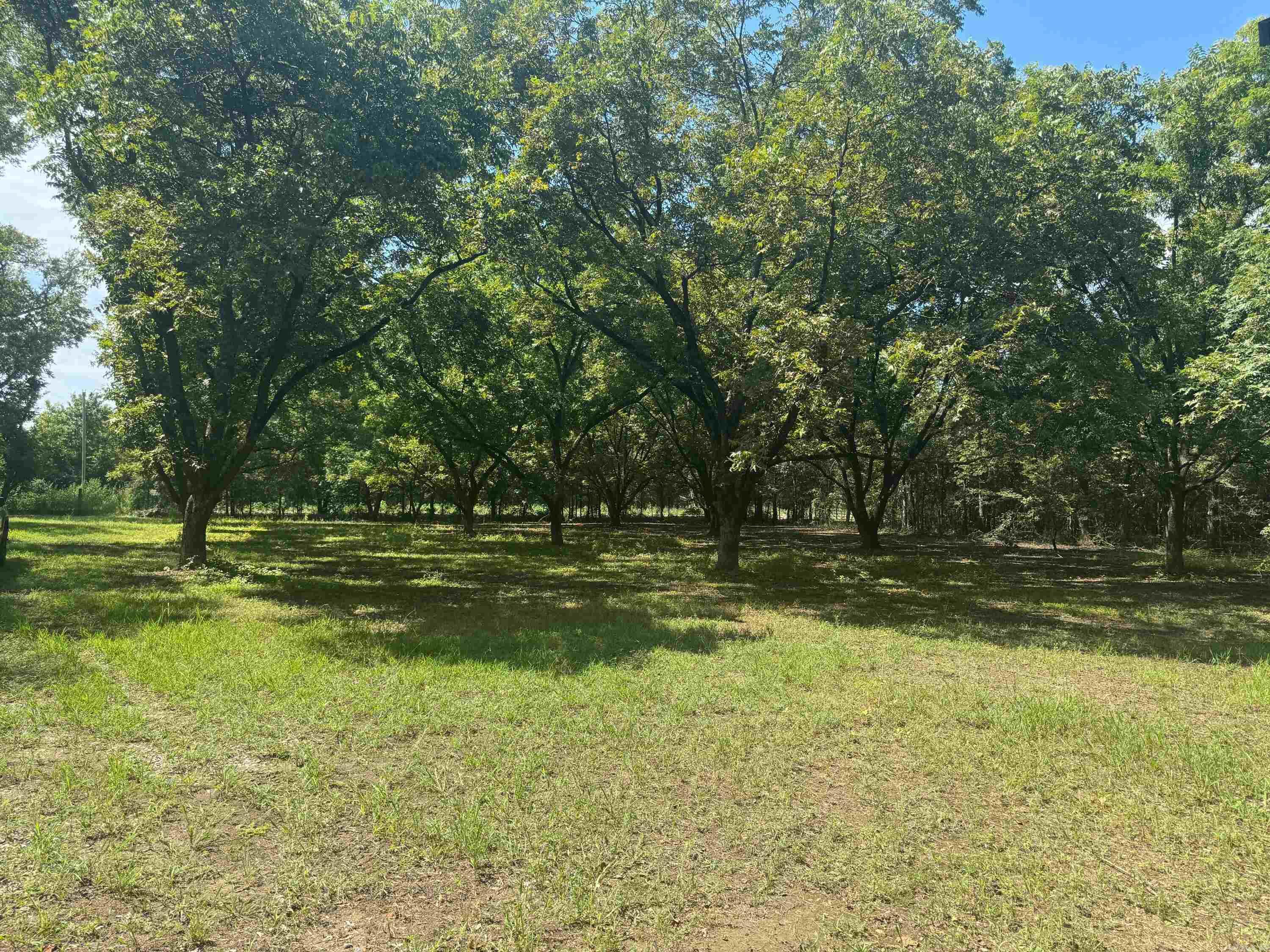 1806 County Rd 150  Augusta, AR